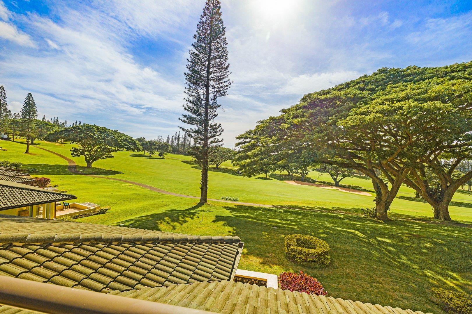 Kapalua Golf Villas condo # 14 T1-2, Lahaina, Hawaii - photo 29 of 30