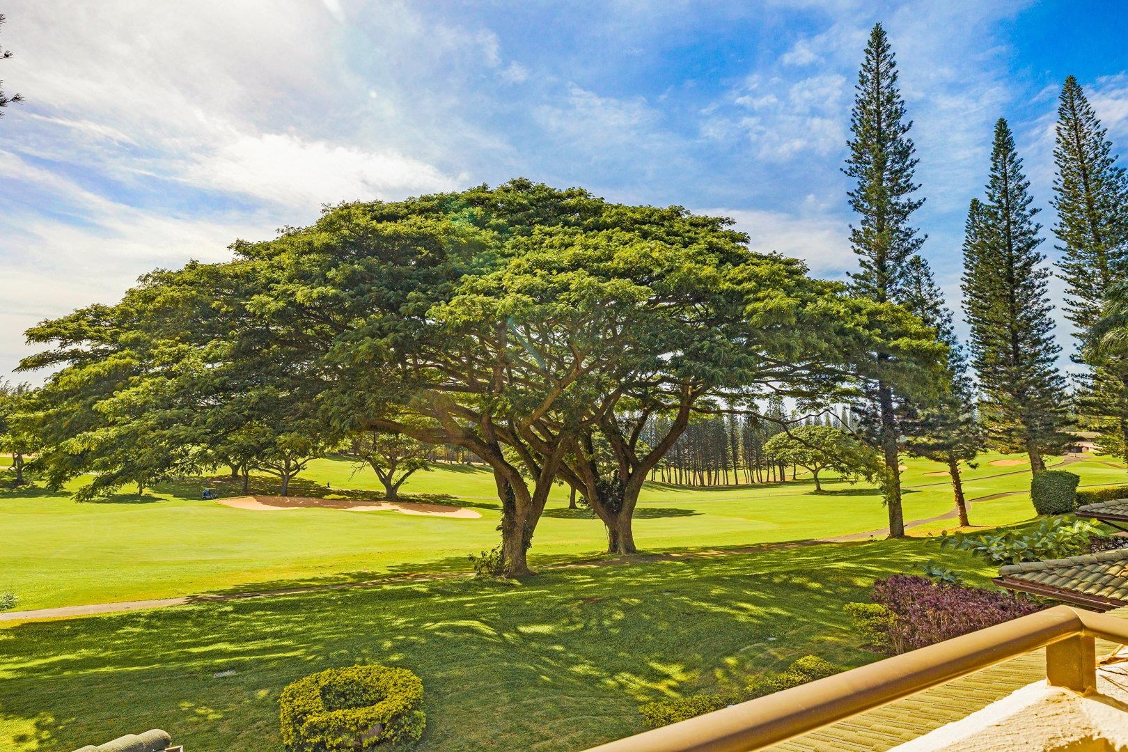 Kapalua Golf Villas condo # 14 T1-2, Lahaina, Hawaii - photo 30 of 30