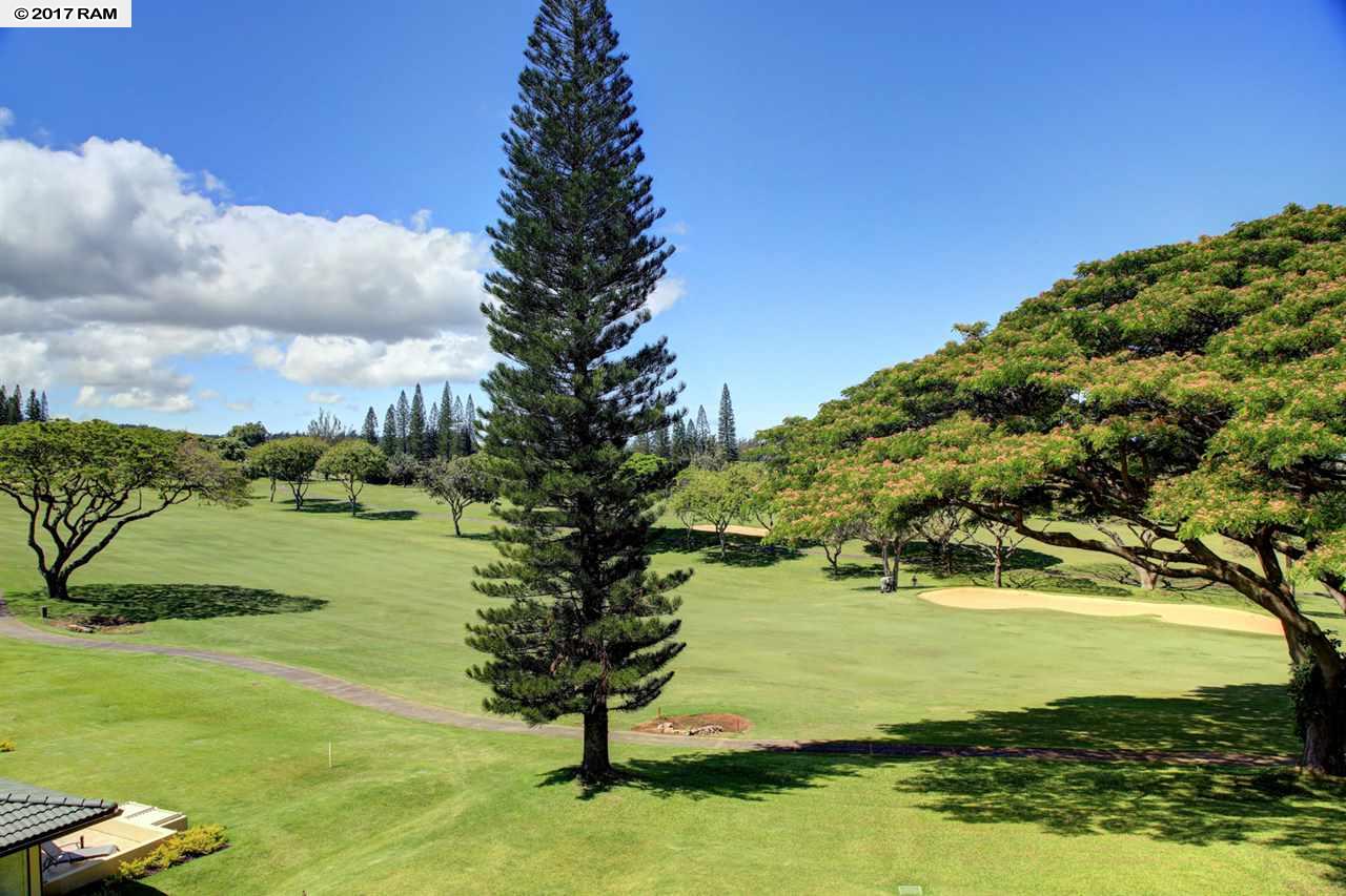 Kapalua Golf Villas condo # 14V1, Lahaina, Hawaii - photo 8 of 28