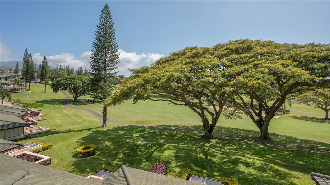 Kapalua Golf Villas condo # 14V-2, Lahaina, Hawaii - photo 17 of 24