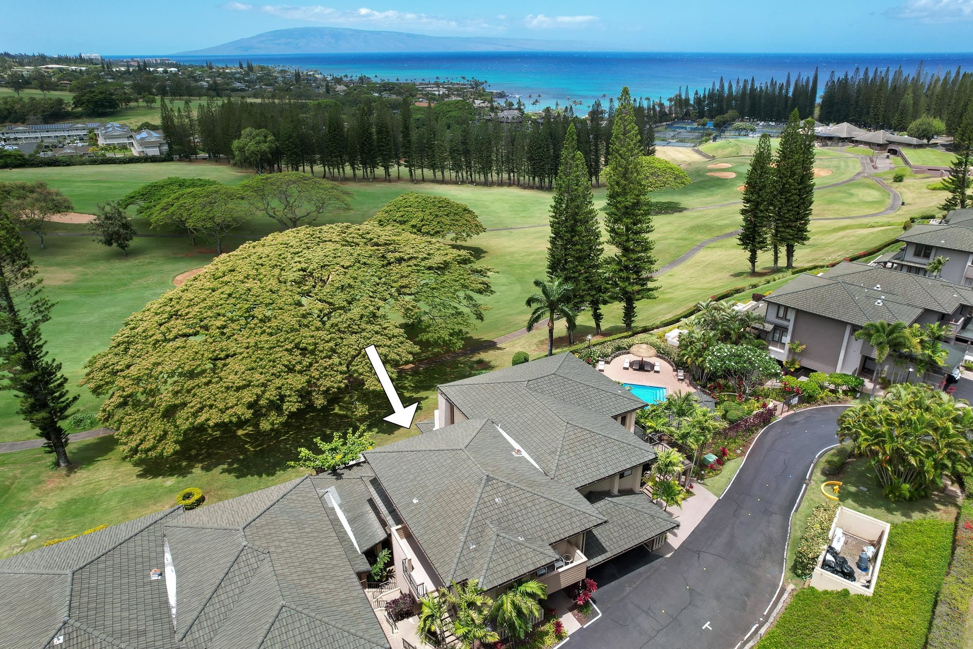 Kapalua Golf Villas condo # 14V2, Lahaina, Hawaii - photo 16 of 44