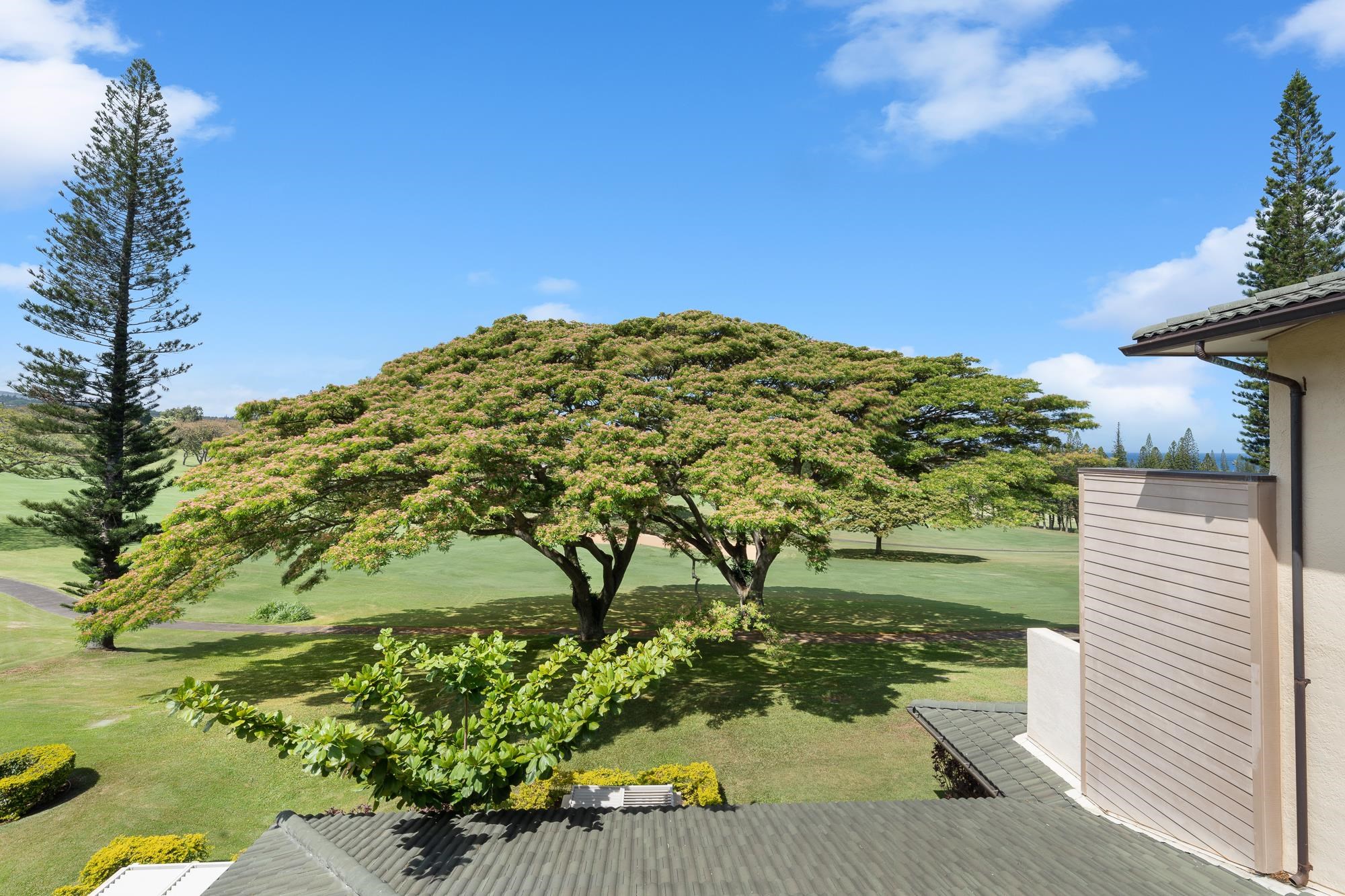 Kapalua Golf Villas condo # 14V2, Lahaina, Hawaii - photo 20 of 44