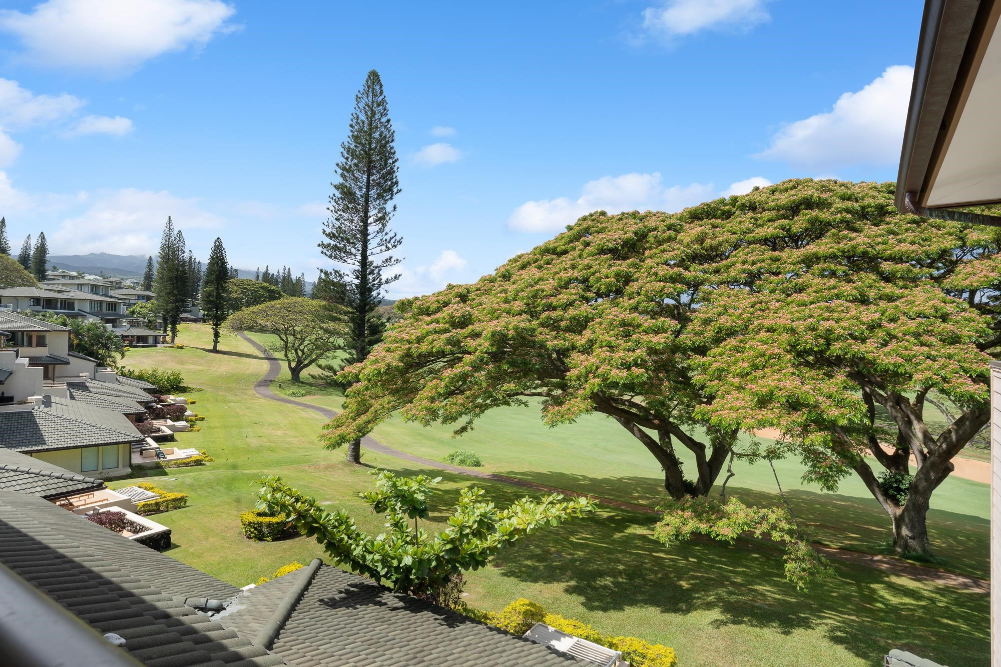 Kapalua Golf Villas condo # 14V2, Lahaina, Hawaii - photo 7 of 44