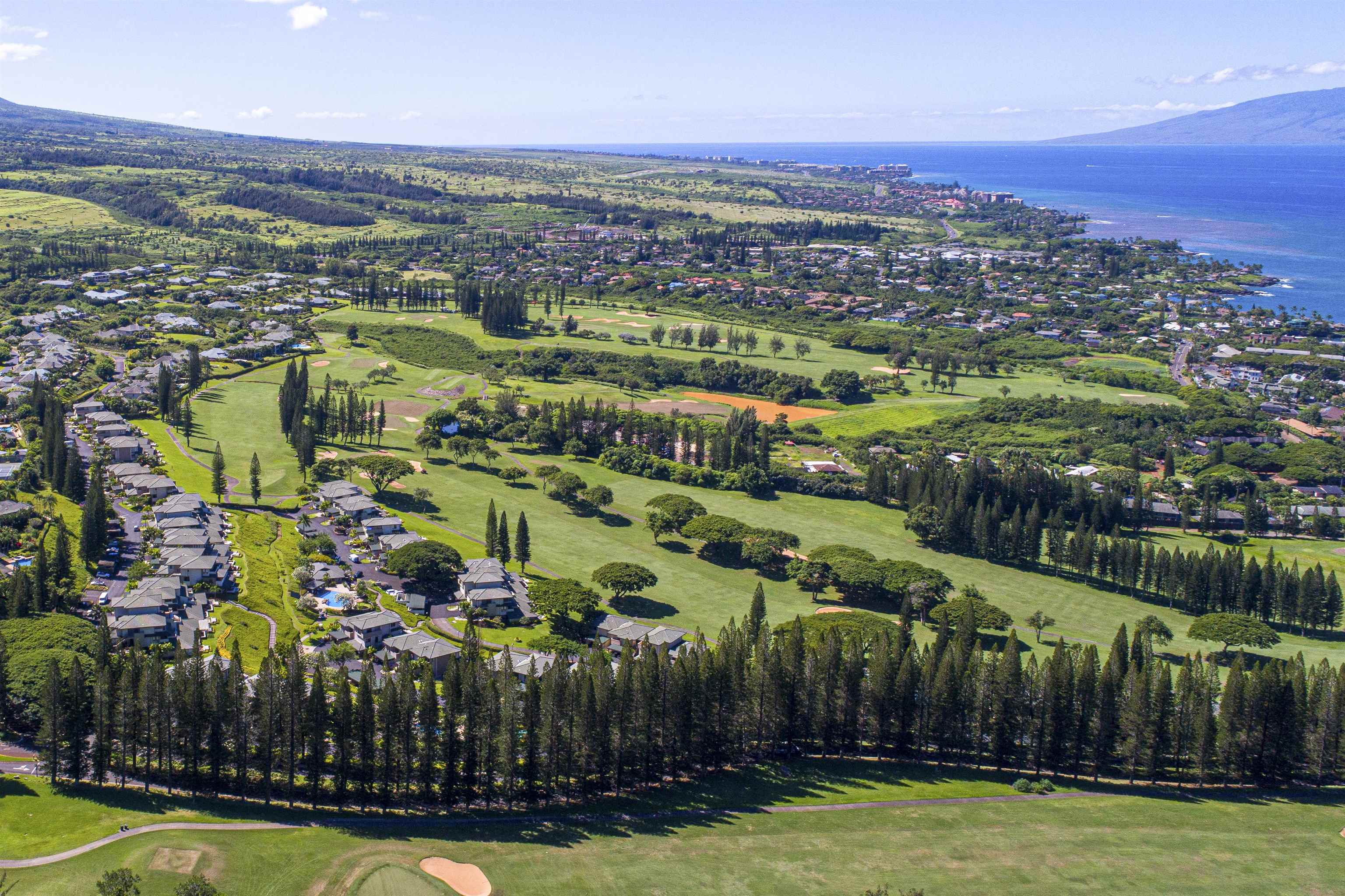 Kapalua Golf Villas condo # 14V2, Lahaina, Hawaii - photo 42 of 45