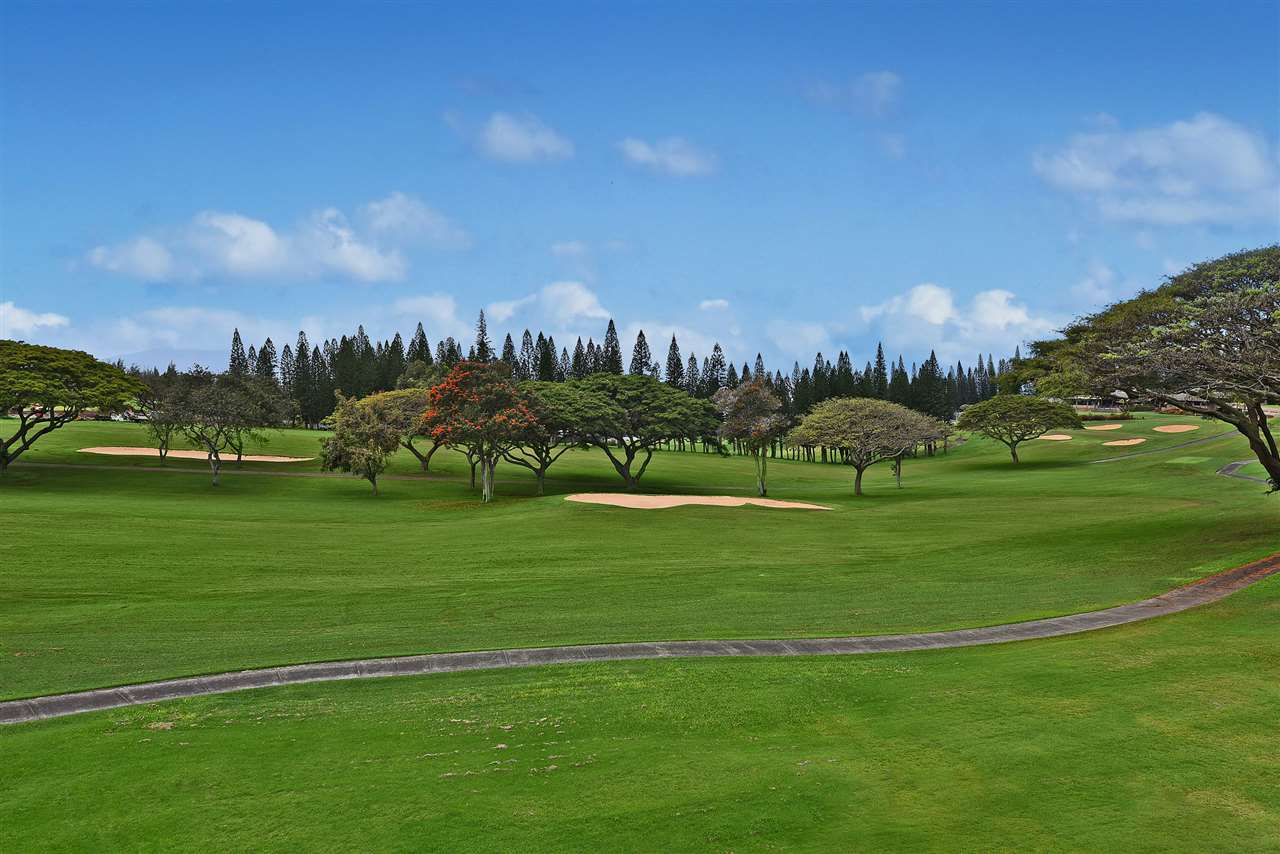 Kapalua Golf Villas condo # 15V1, Lahaina, Hawaii - photo 25 of 30