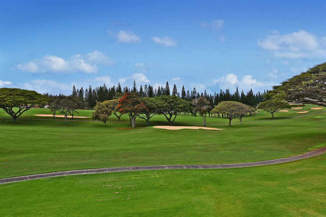 Kapalua Golf Villas condo # 15V1, Lahaina, Hawaii - photo 27 of 30