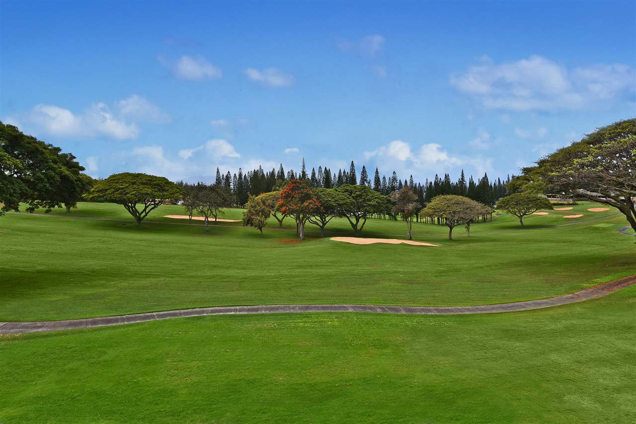 Kapalua Golf Villas condo # 15V1, Lahaina, Hawaii - photo 29 of 30