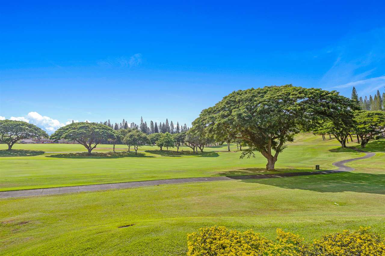 Kapalua Golf Villas condo # 16P1-2, Lahaina, Hawaii - photo 2 of 27