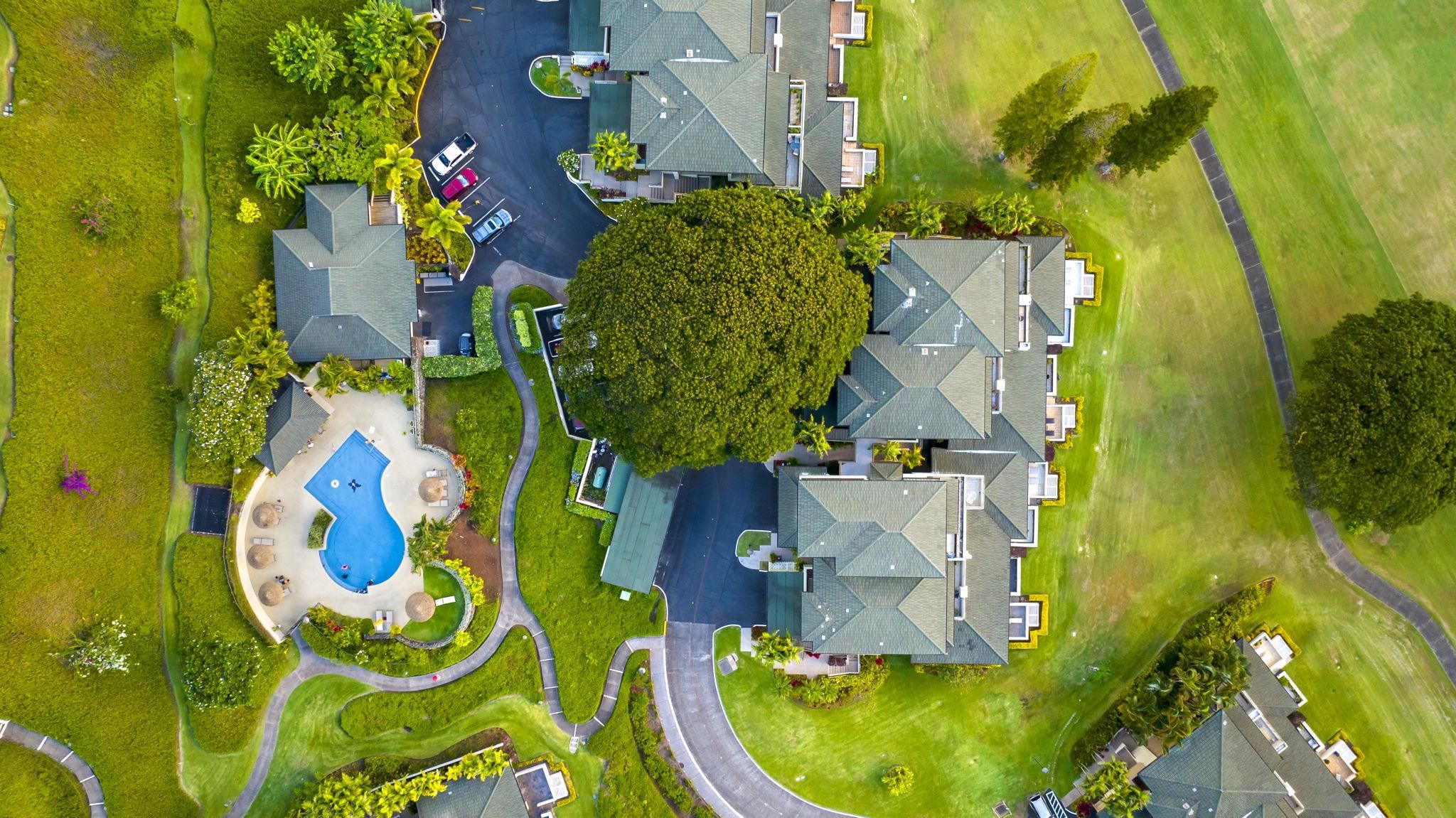 Kapalua Golf Villas condo # 16T3-4, Lahaina, Hawaii - photo 34 of 34