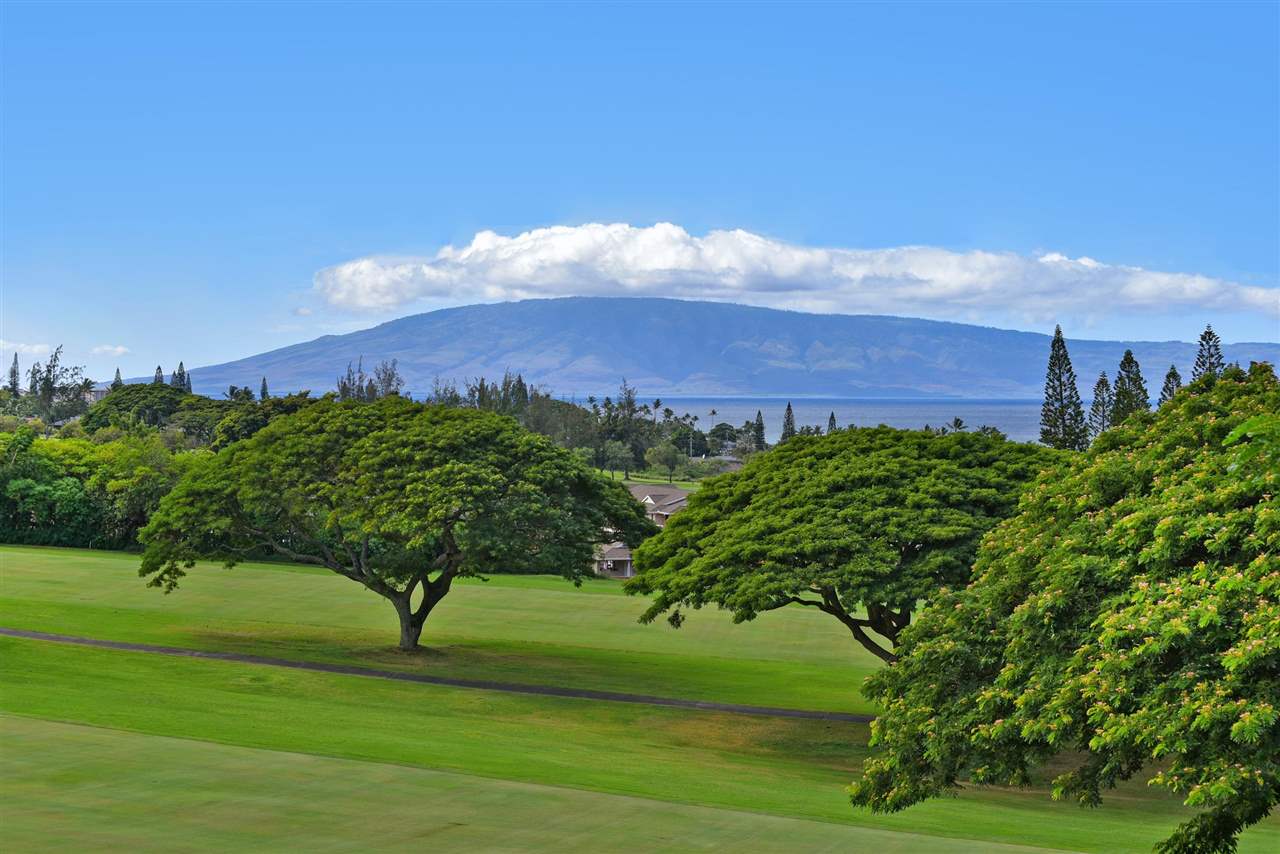 Kapalua Golf Villas condo # 16V3, Lahaina, Hawaii - photo 25 of 27