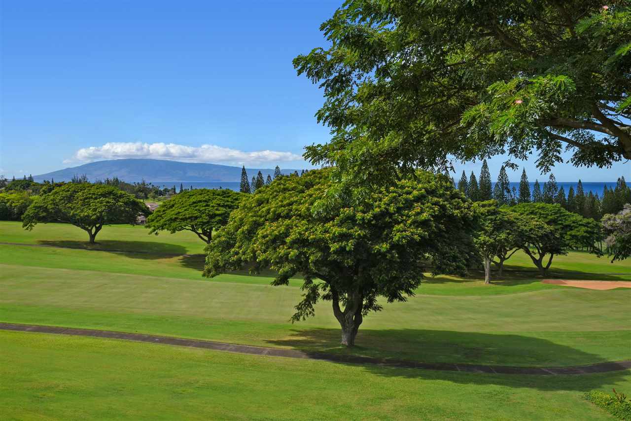 Kapalua Golf Villas condo # 16V3, Lahaina, Hawaii - photo 26 of 27