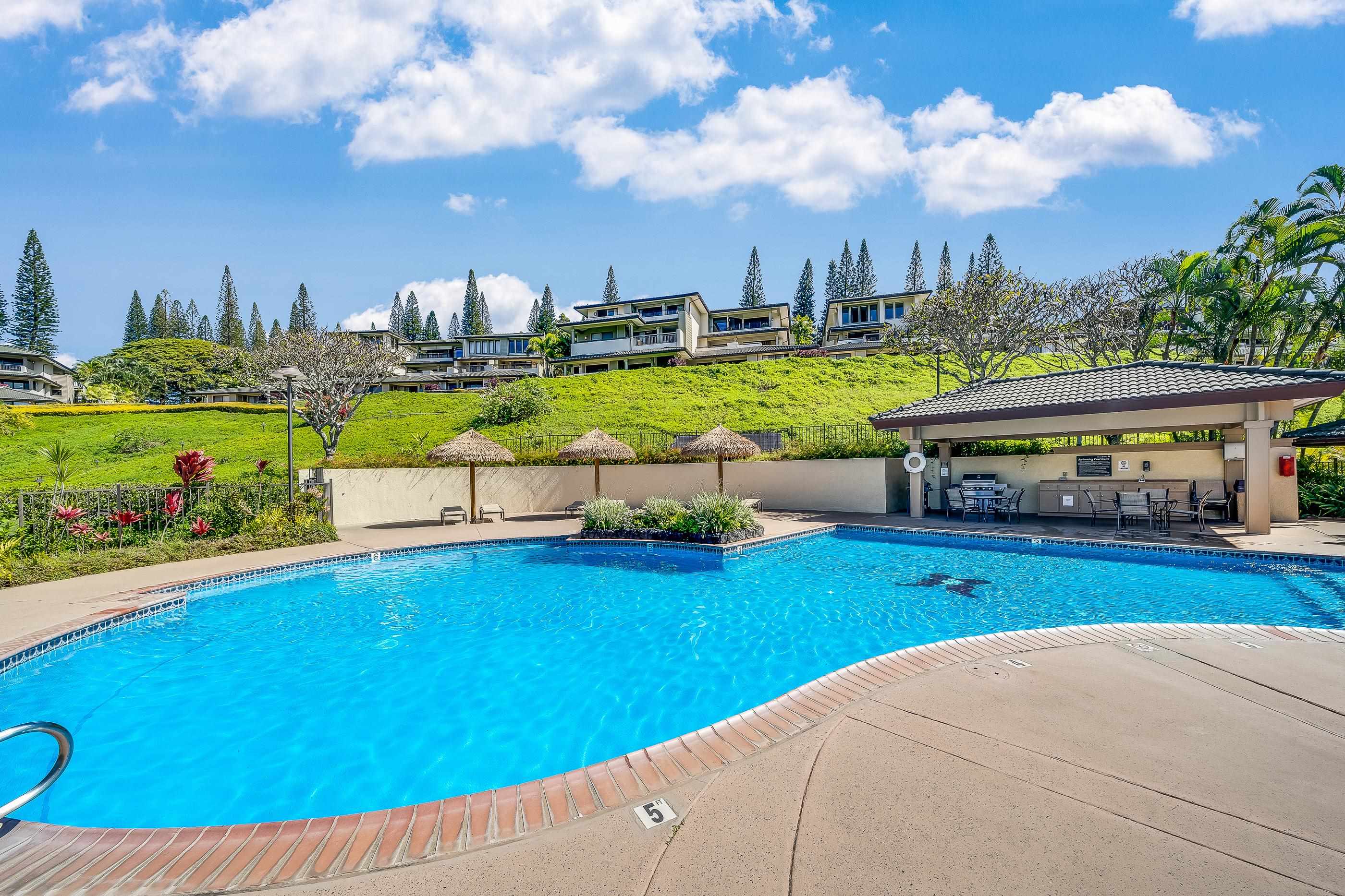 Kapalua Golf Villas condo # 17P7,8, Lahaina, Hawaii - photo 19 of 23