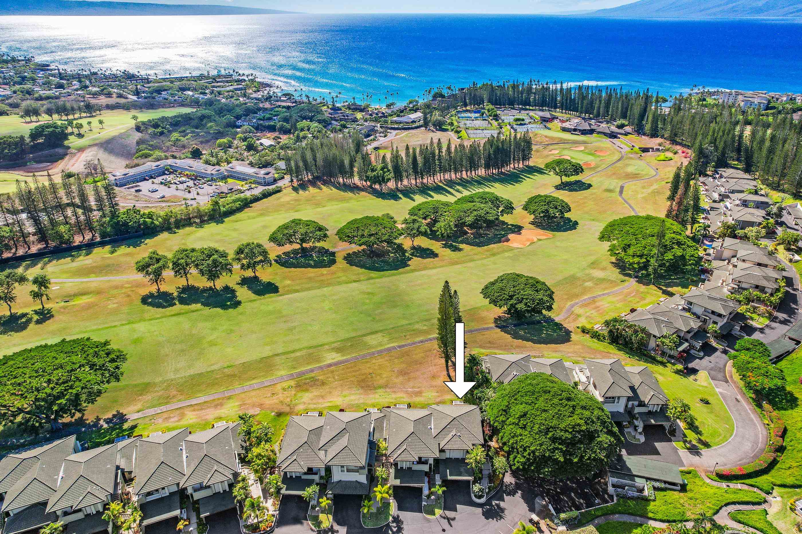 Kapalua Golf Villas condo # 17P7,8, Lahaina, Hawaii - photo 22 of 23