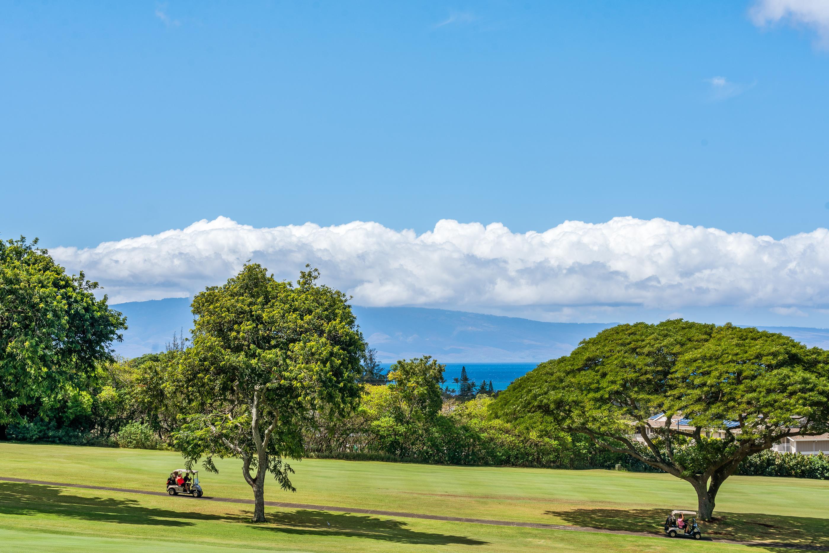 Kapalua Golf Villas condo # 17P7,8, Lahaina, Hawaii - photo 7 of 23