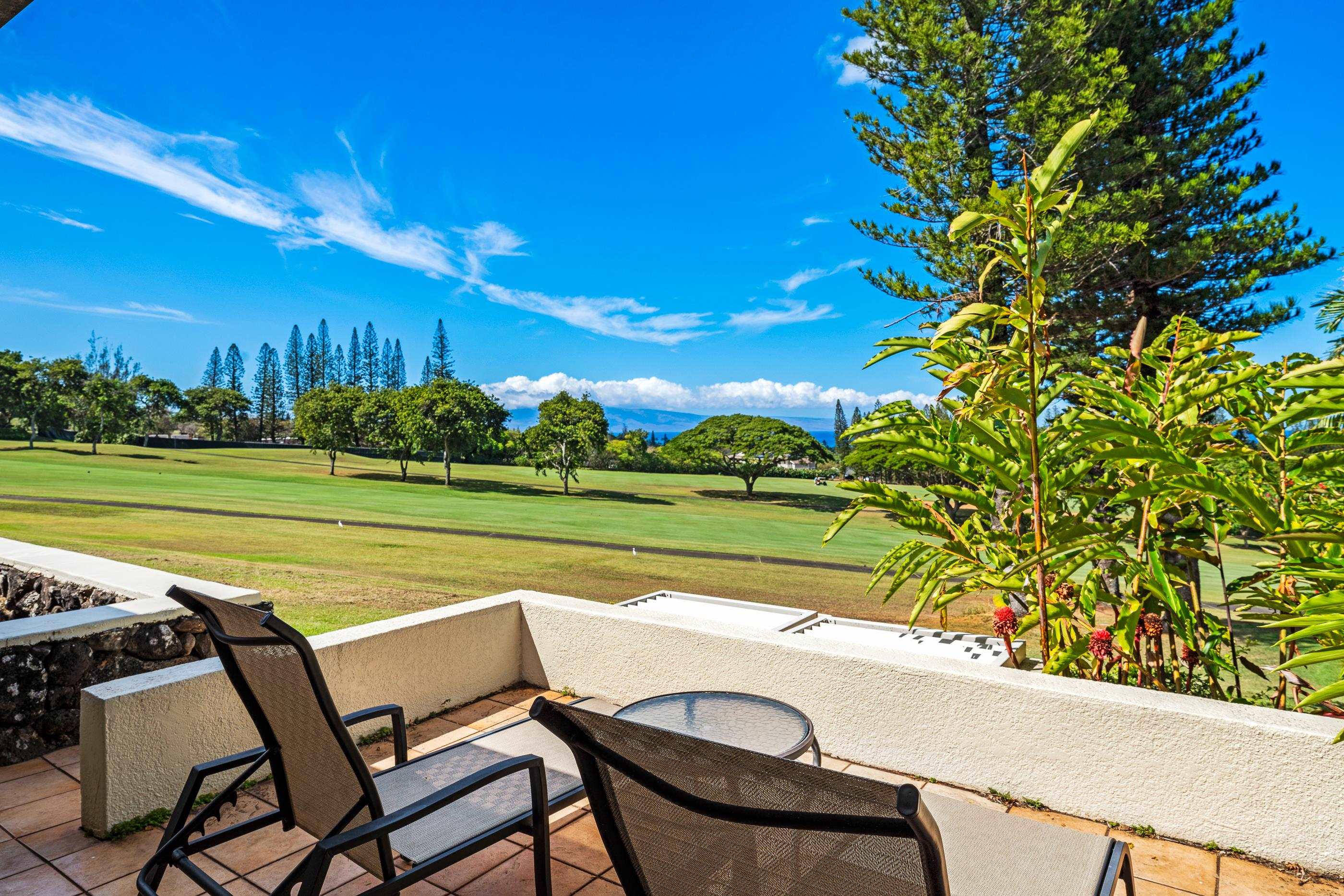 Kapalua Golf Villas condo # 17P7,8, Lahaina, Hawaii - photo 9 of 23