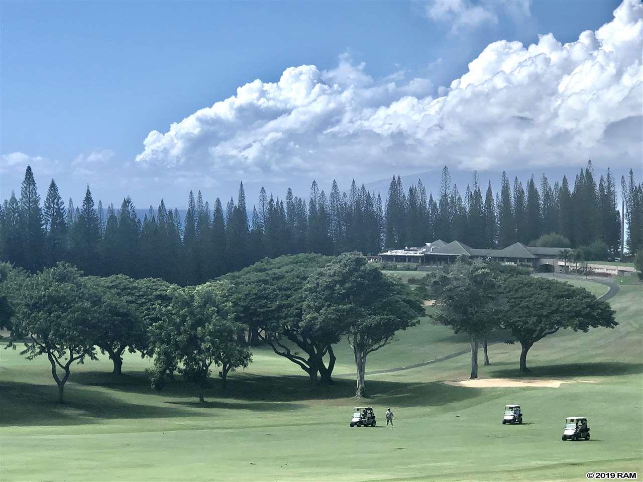 Kapalua Golf Villas condo # 17T1,2, Lahaina, Hawaii - photo 28 of 29