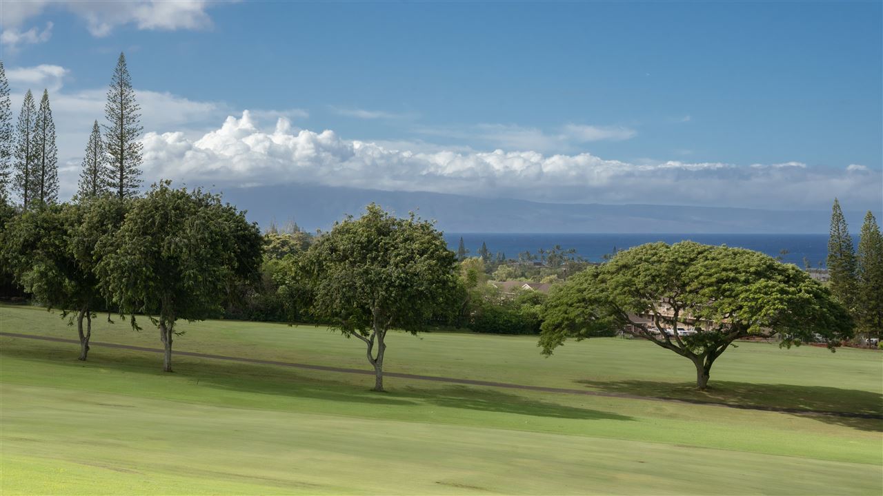 Kapalua Golf Villas condo # 17T7, Lahaina, Hawaii - photo 25 of 25