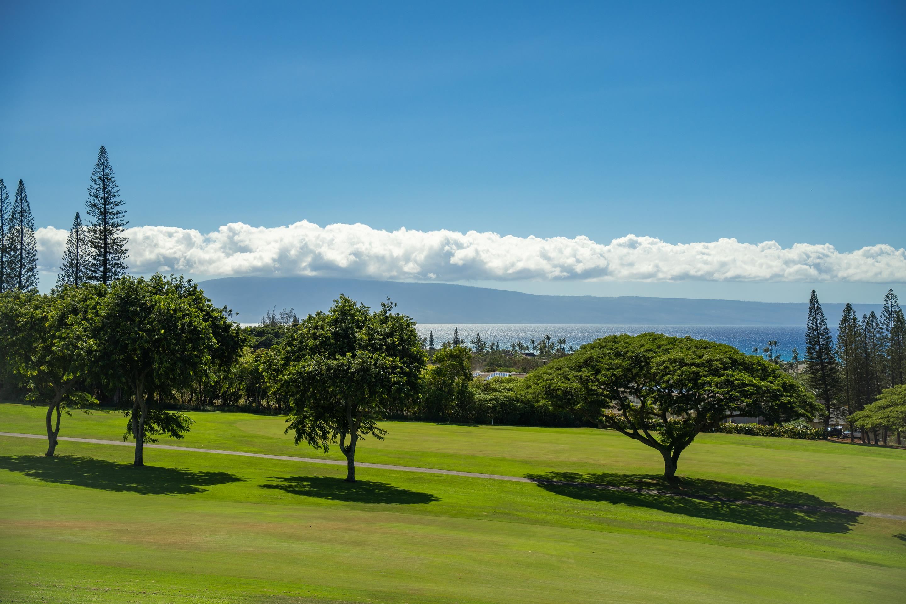 Kapalua Golf Villas condo # 17T8, Lahaina, Hawaii - photo 13 of 30