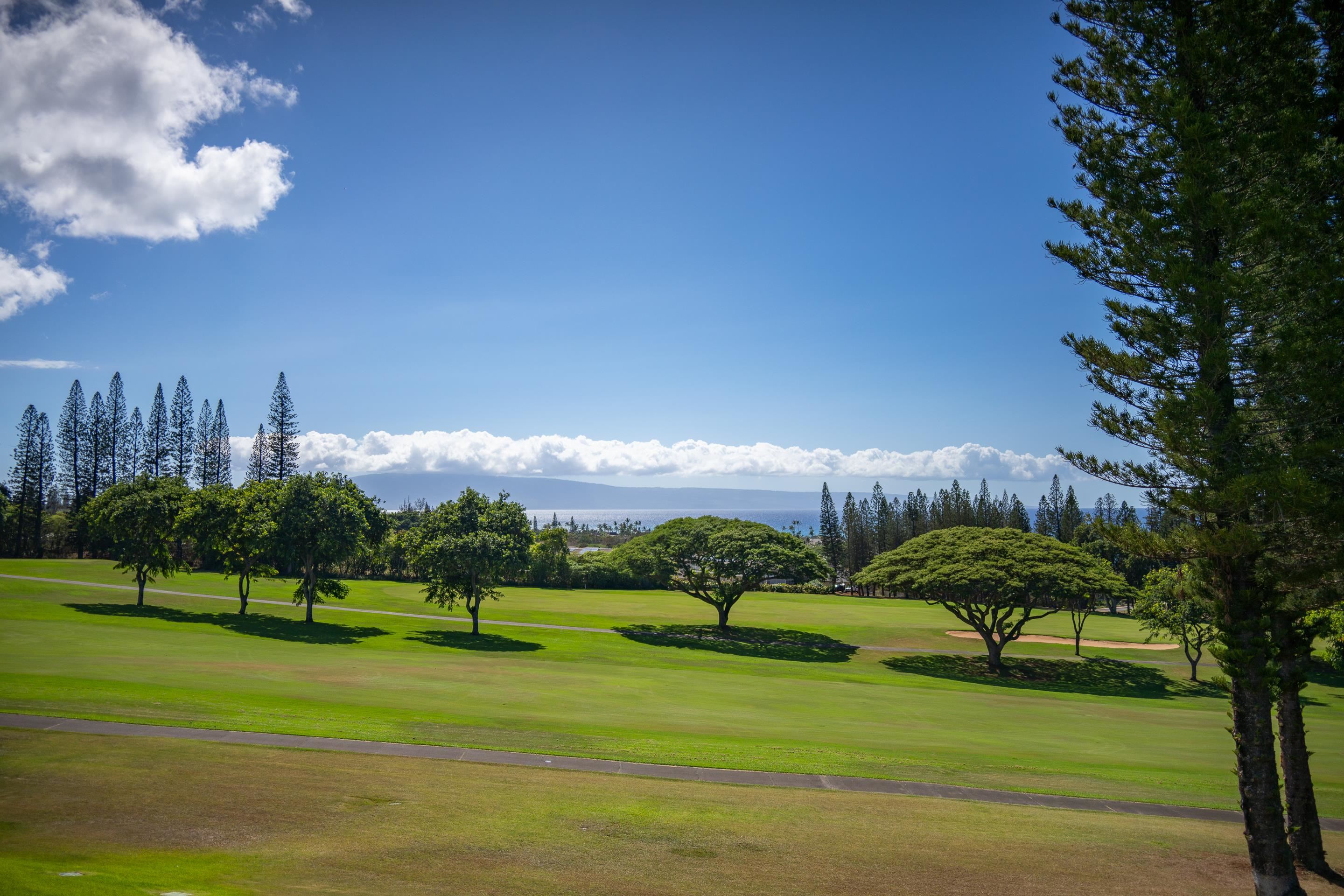 Kapalua Golf Villas condo # 17T8, Lahaina, Hawaii - photo 9 of 30
