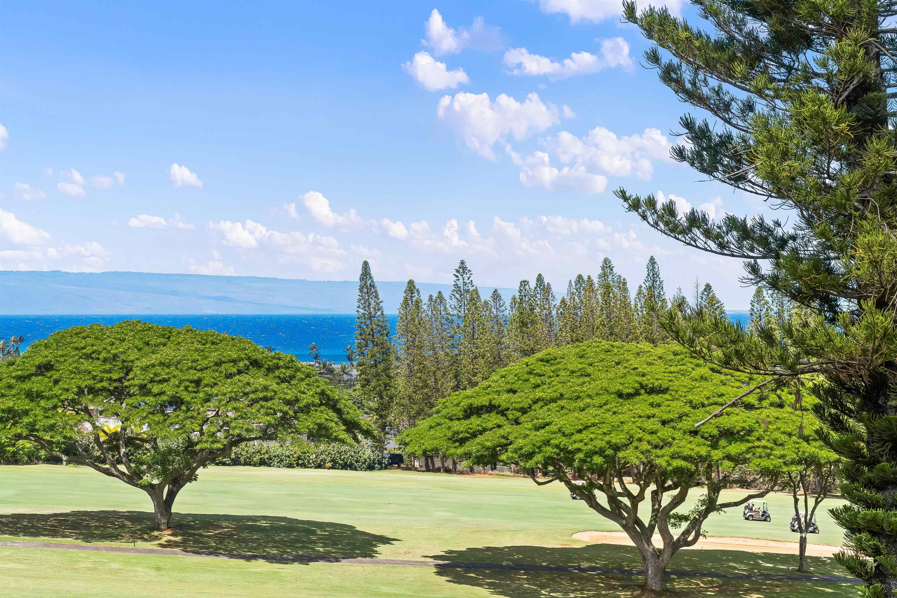 Kapalua Golf Villas condo # 17T8, Lahaina, Hawaii - photo 8 of 42