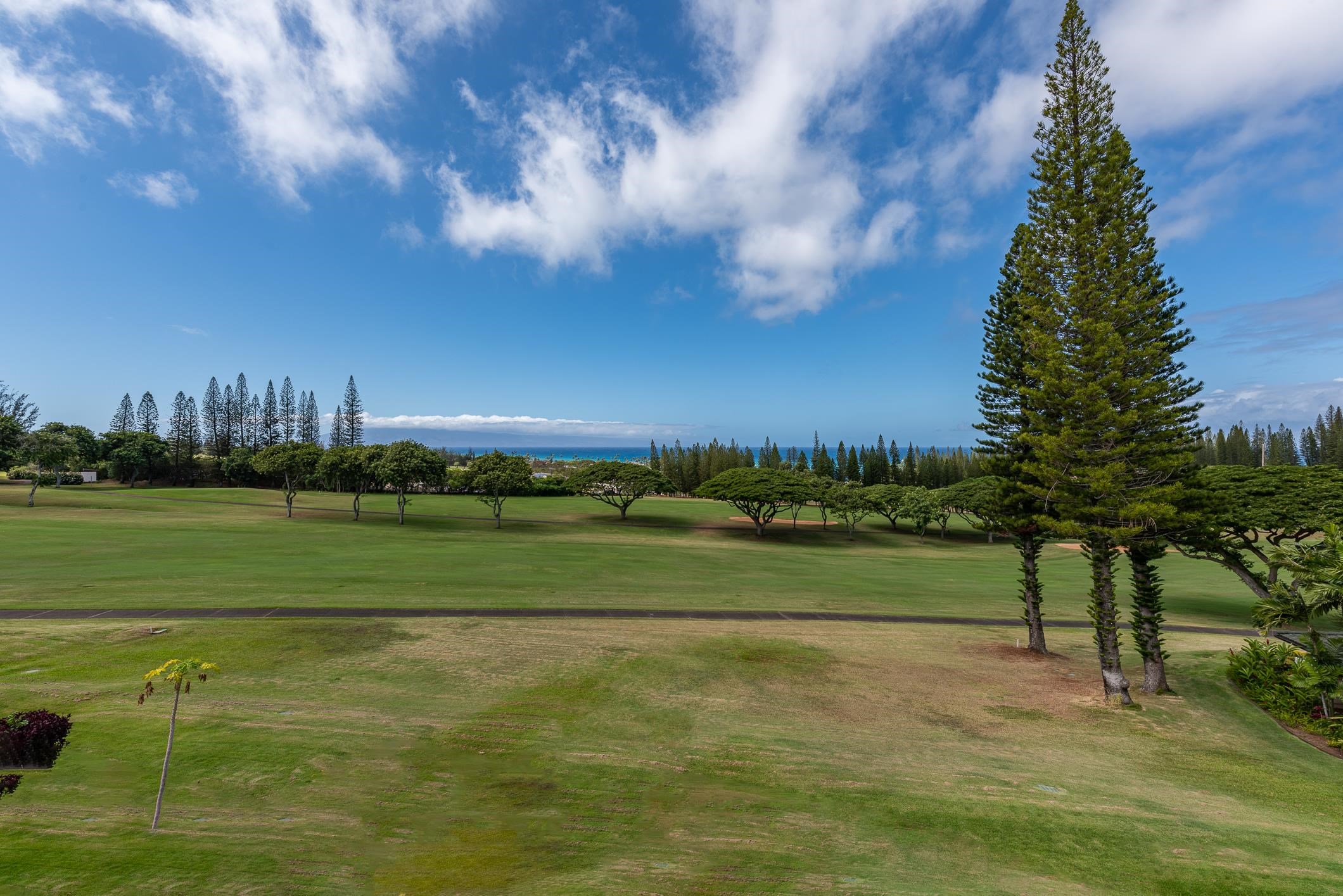 Kapalua Golf Villas condo # 17V3, Lahaina, Hawaii - photo 2 of 30