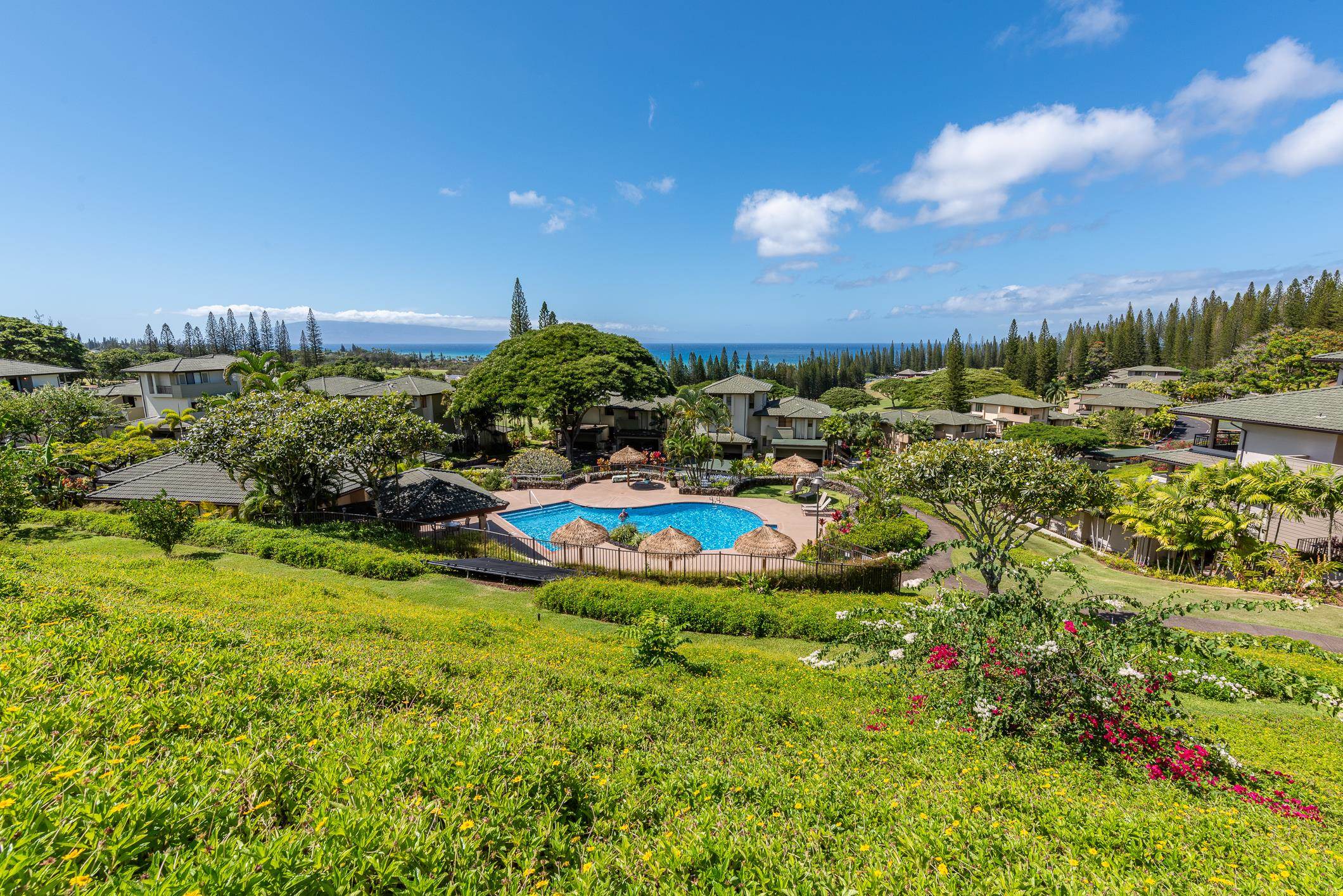 Kapalua Golf Villas condo # 17V3, Lahaina, Hawaii - photo 30 of 30