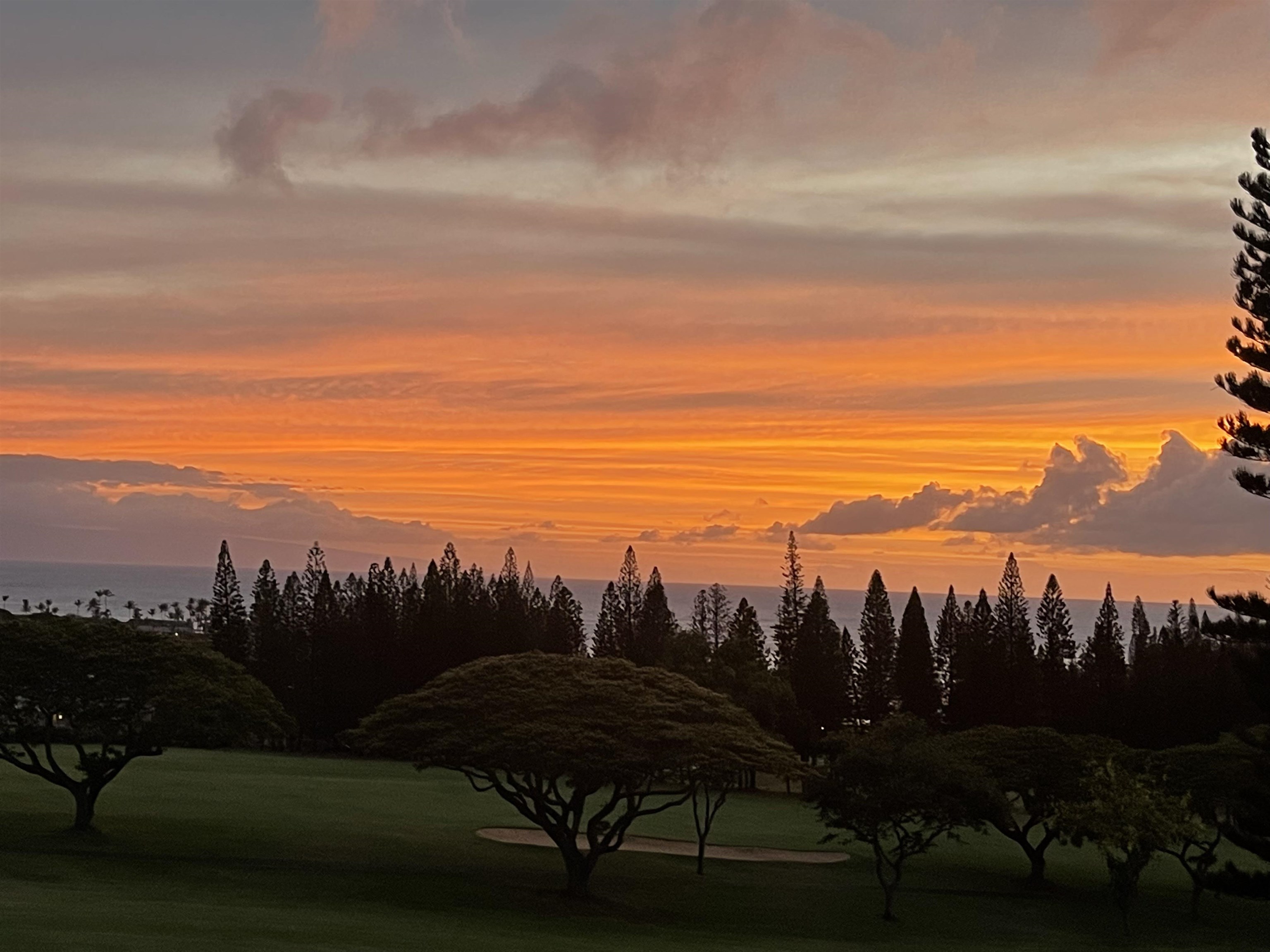 Kapalua Golf Villas condo # 17V3, Lahaina, Hawaii - photo 20 of 20