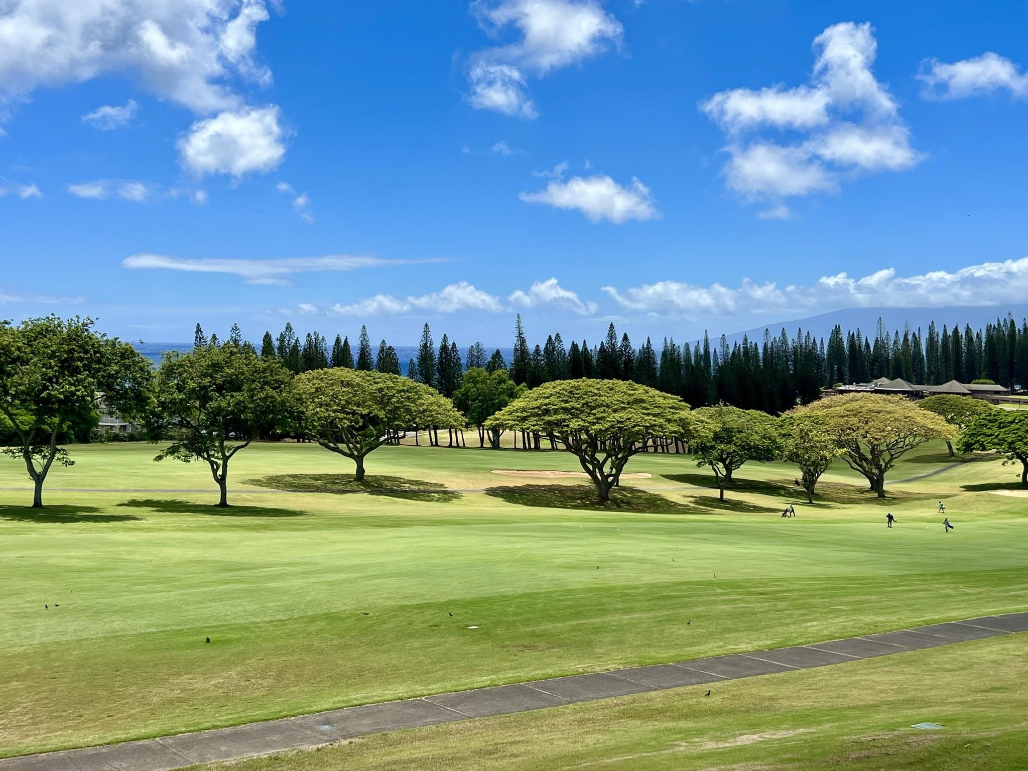 Kapalua Golf Villas condo # 18T5, Lahaina, Hawaii - photo 2 of 29