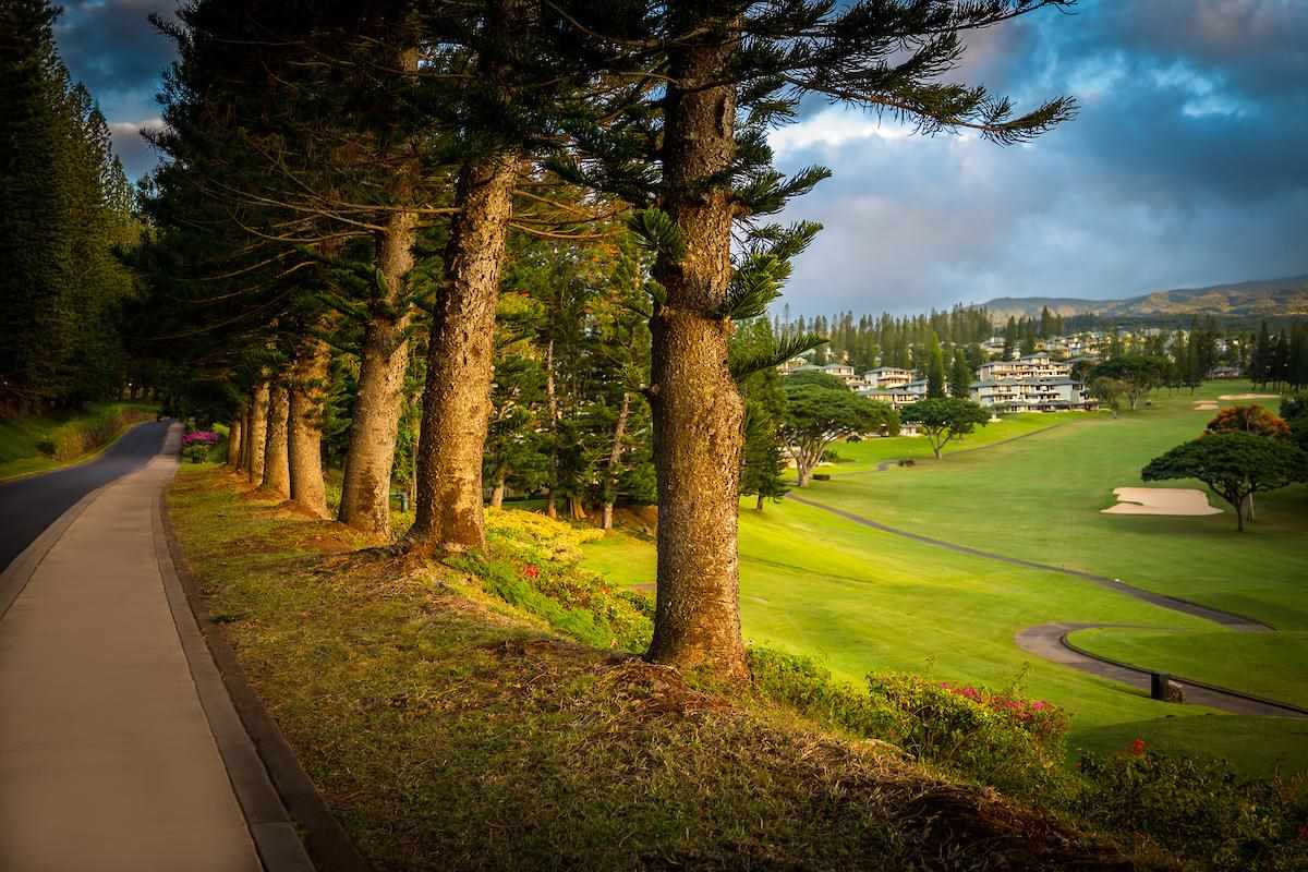 Kapalua Golf Villas condo # 19T6-7, Lahaina, Hawaii - photo 4 of 29