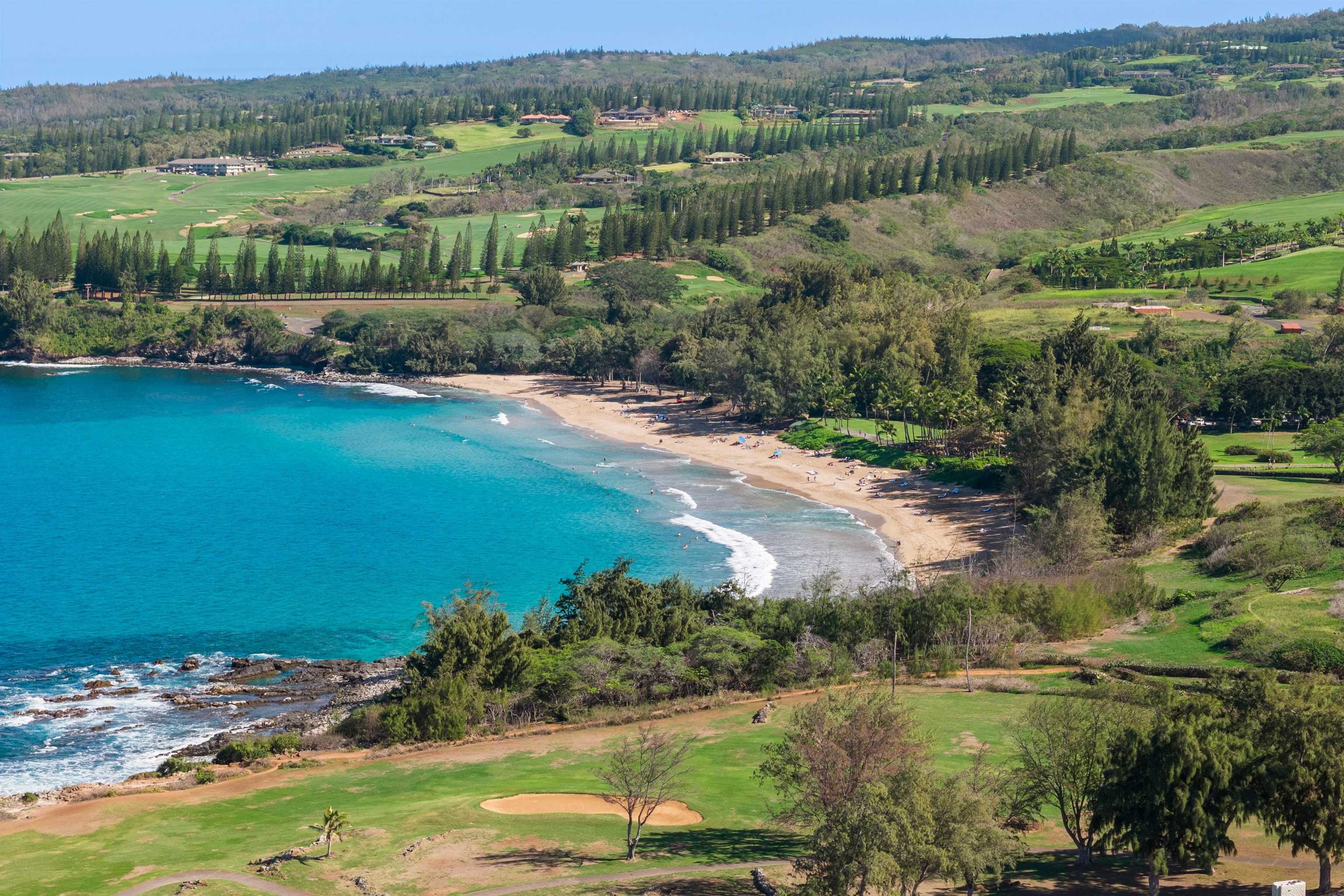 Kapalua Golf Villas condo # 19T6-7, Lahaina, Hawaii - photo 42 of 46
