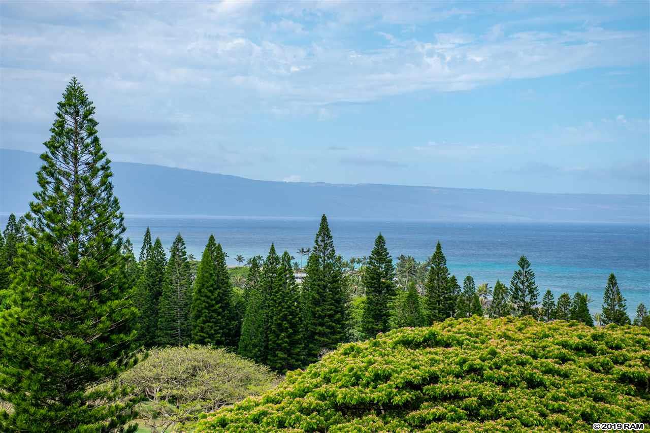 Kapalua Golf Villas condo # 19V3-4, Lahaina, Hawaii - photo 28 of 29
