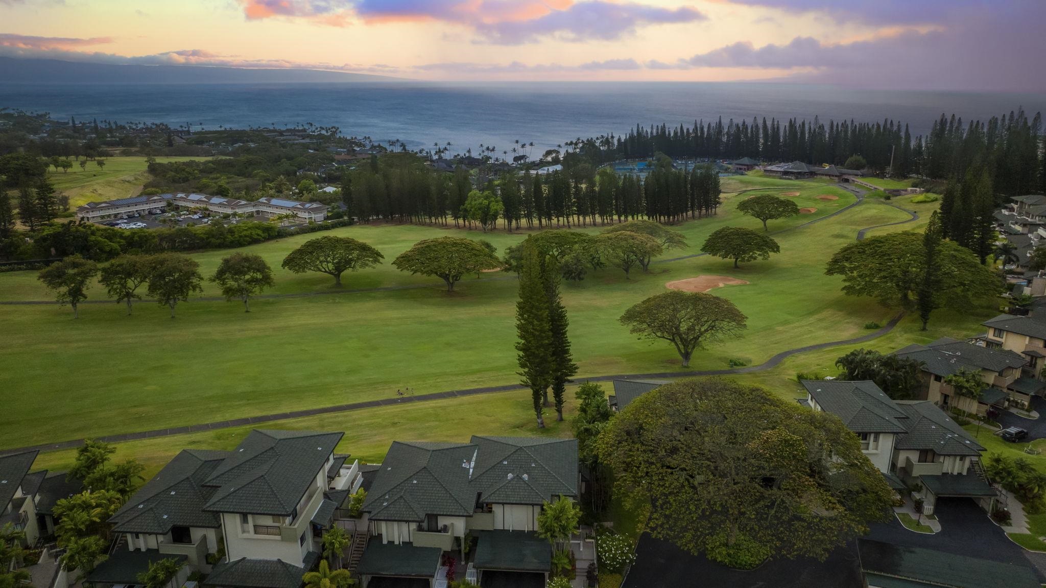 Kapalua Golf Villas condo # 20T 3-4, Lahaina, Hawaii - photo 30 of 31