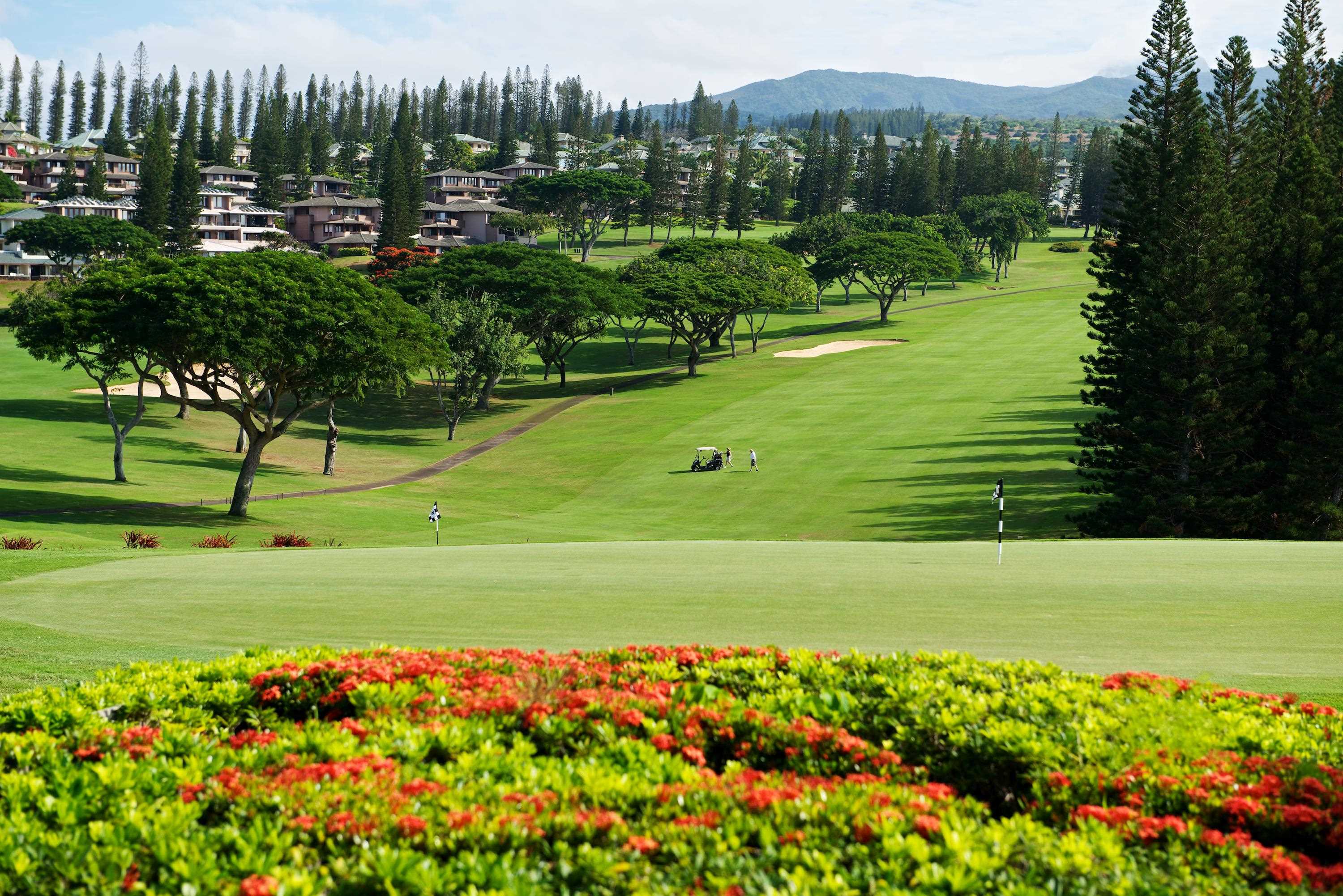 Kapalua Golf Villas condo # 20T8, Lahaina, Hawaii - photo 29 of 30