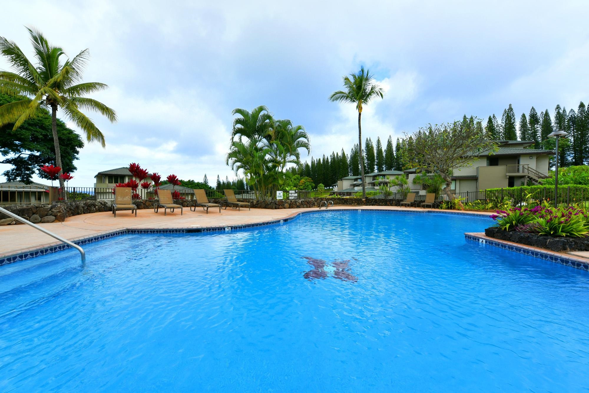 Kapalua Golf Villas condo # 20V1, Lahaina, Hawaii - photo 37 of 47