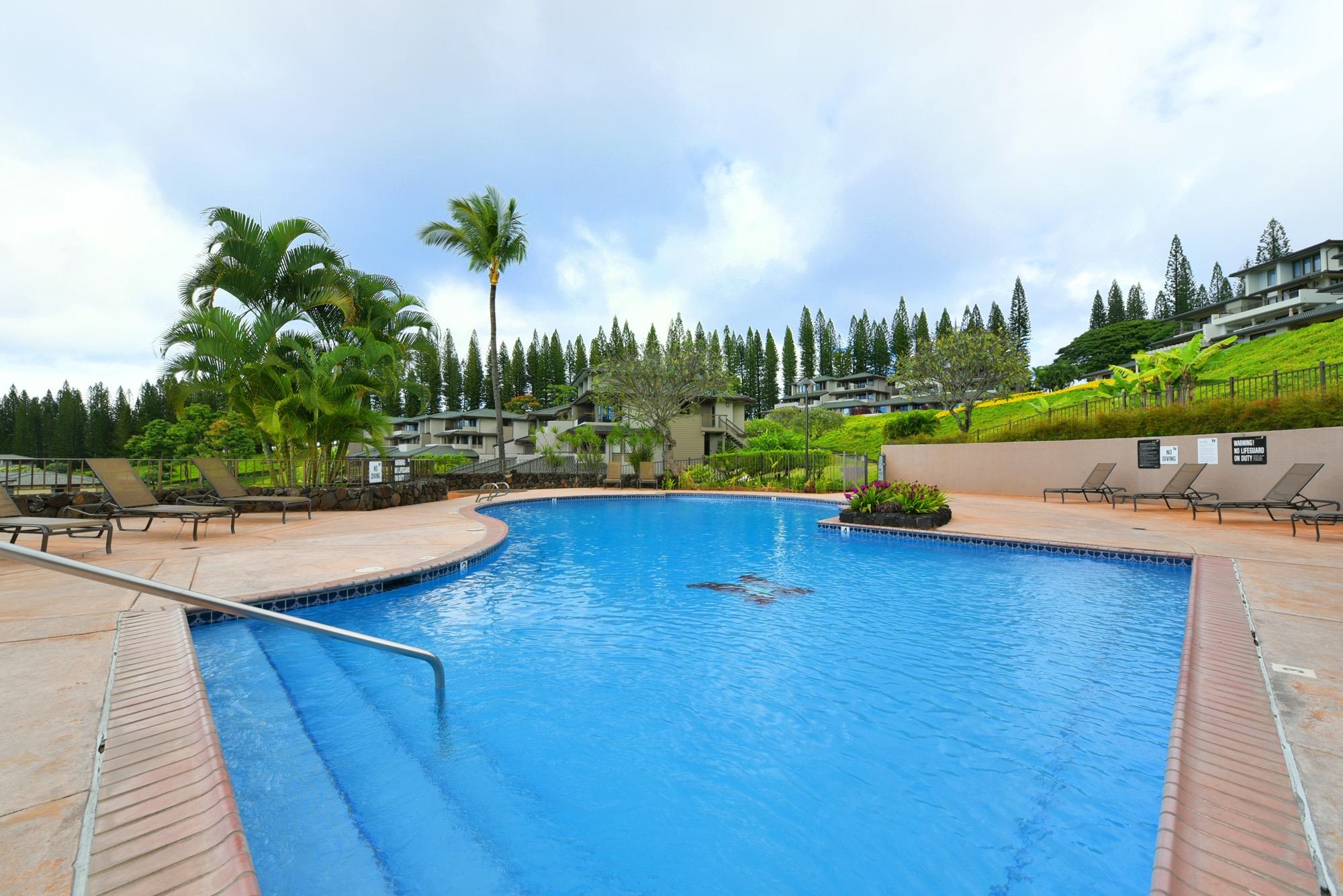 Kapalua Golf Villas condo # 20V1, Lahaina, Hawaii - photo 38 of 47