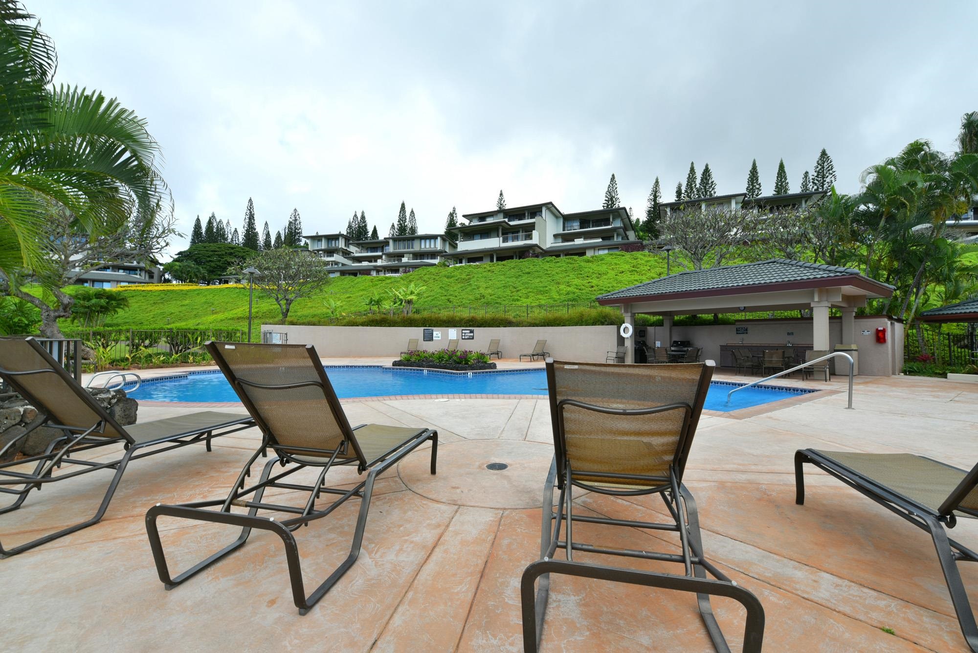 Kapalua Golf Villas condo # 20V1, Lahaina, Hawaii - photo 44 of 47