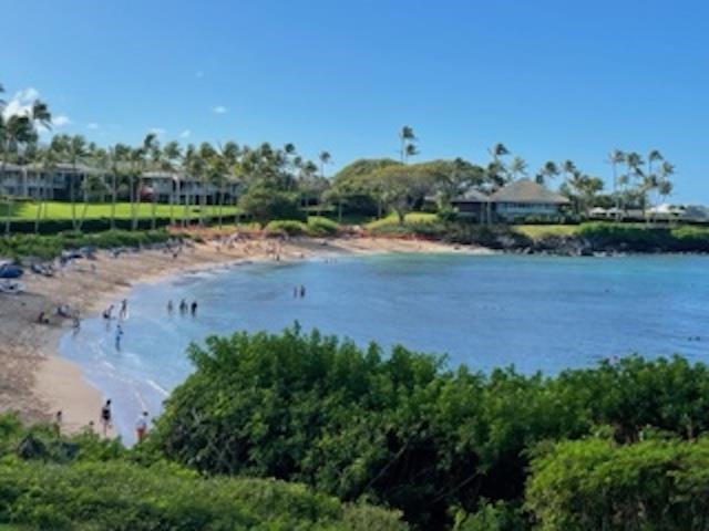 Kapalua Golf Villas condo # 20V1, Lahaina, Hawaii - photo 46 of 47
