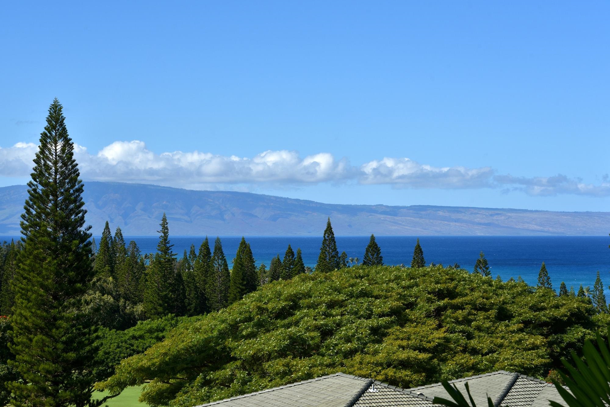 Kapalua Golf Villas condo # 20V1, Lahaina, Hawaii - photo 10 of 47