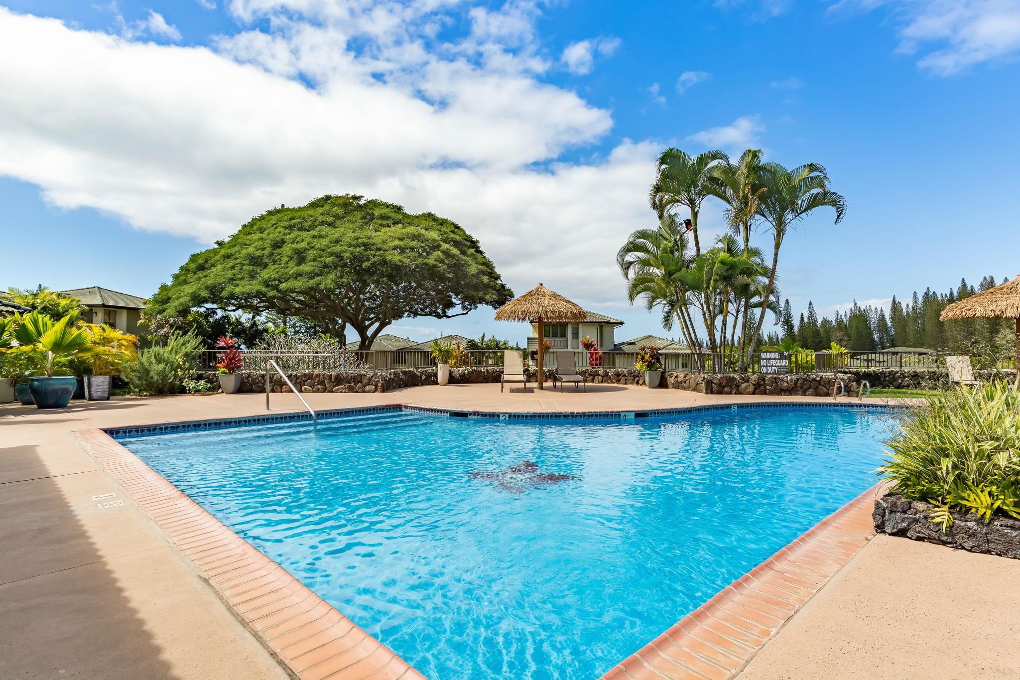 Kapalua Golf Villas condo # 21P34, Lahaina, Hawaii - photo 36 of 44