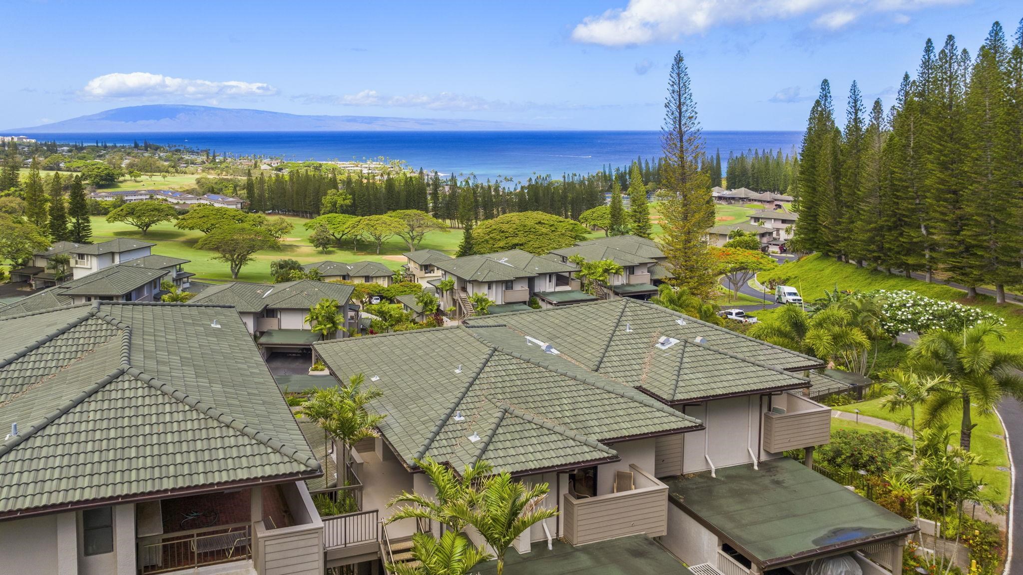 Kapalua Golf Villas condo # 21V-3, Lahaina, Hawaii - photo 8 of 22