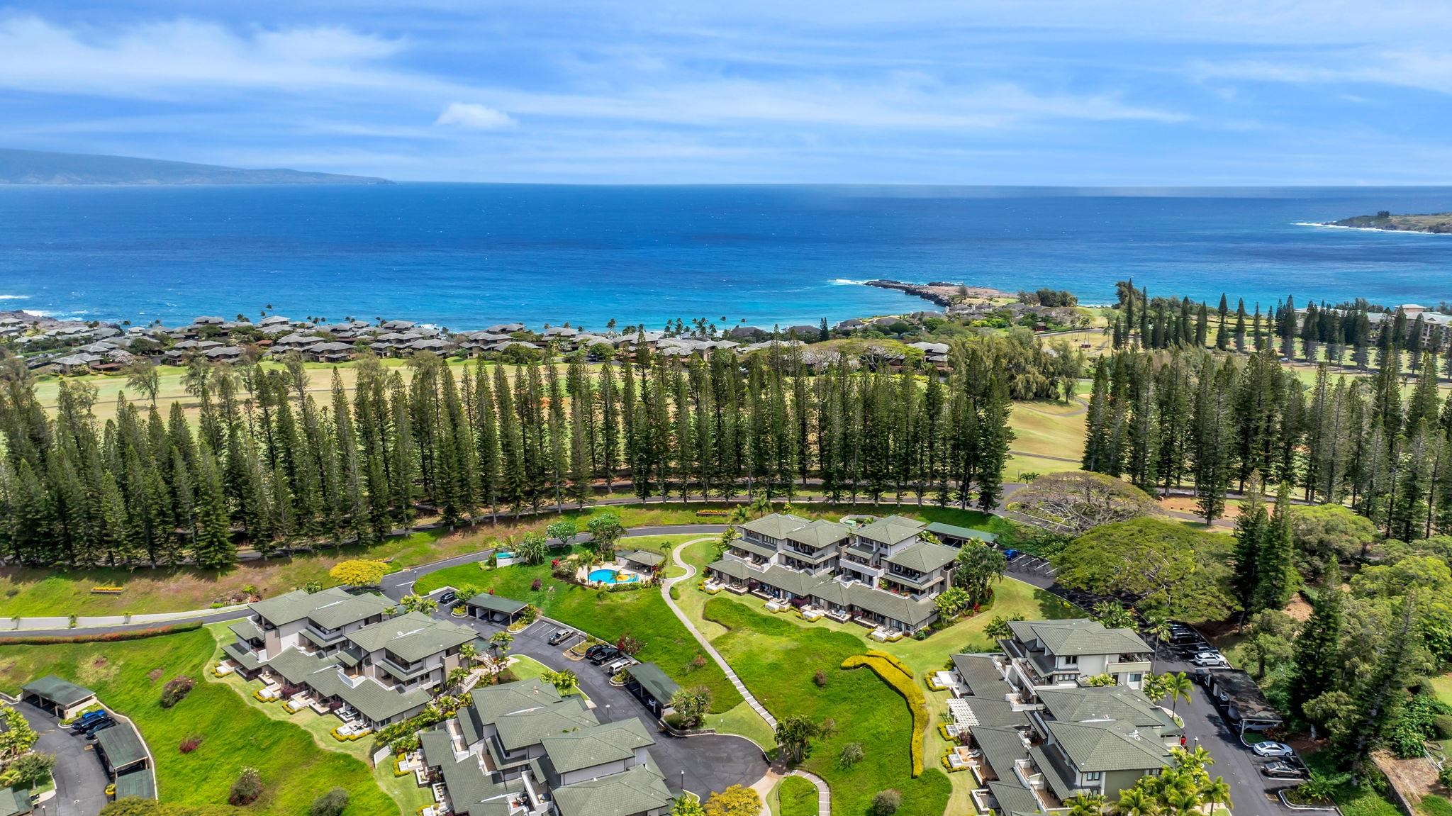 Kapalua Golf Villas condo # 22P3-4, Lahaina, Hawaii - photo 45 of 48