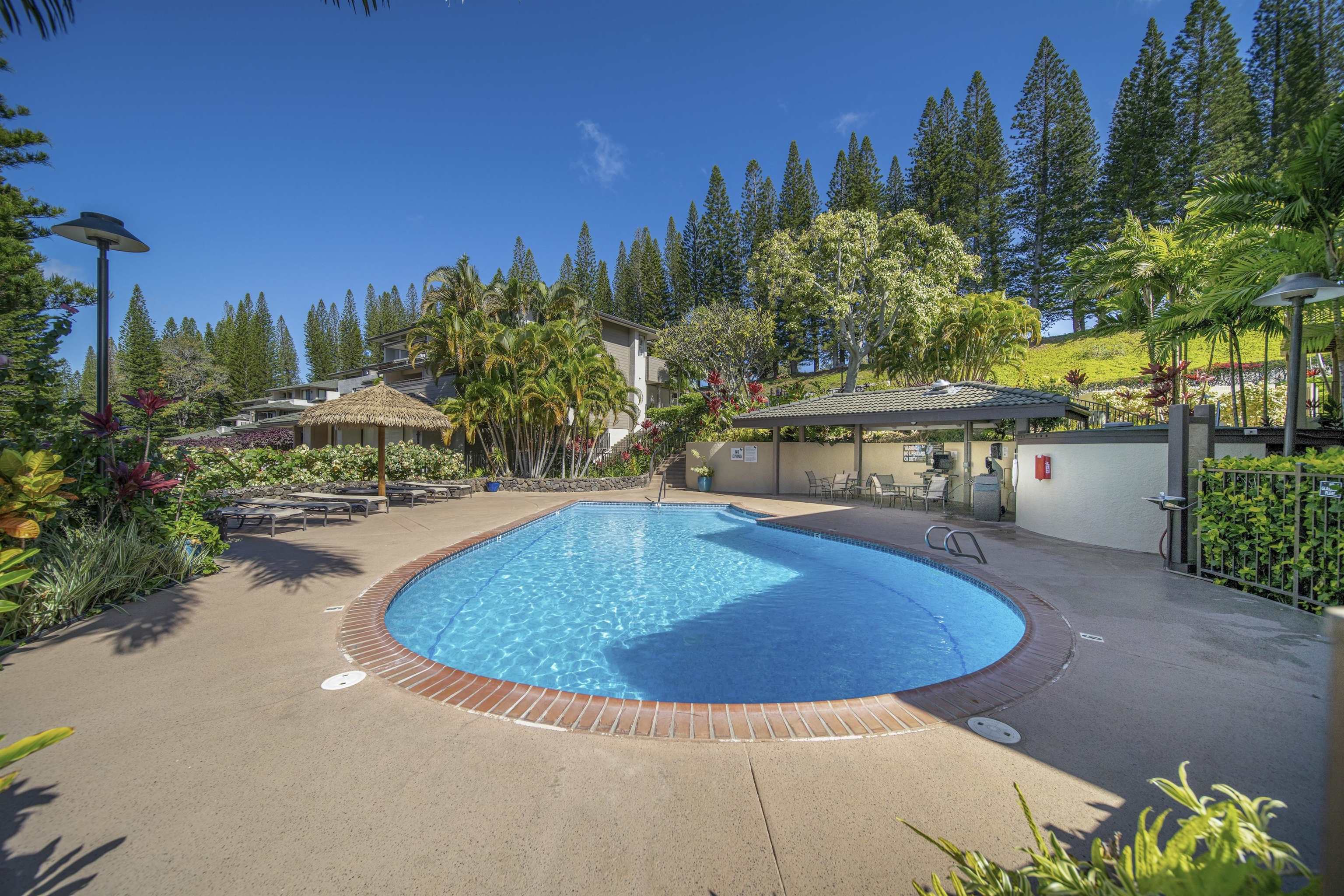 Kapalua Golf Villas condo # 23P1-2, Lahaina, Hawaii - photo 43 of 43