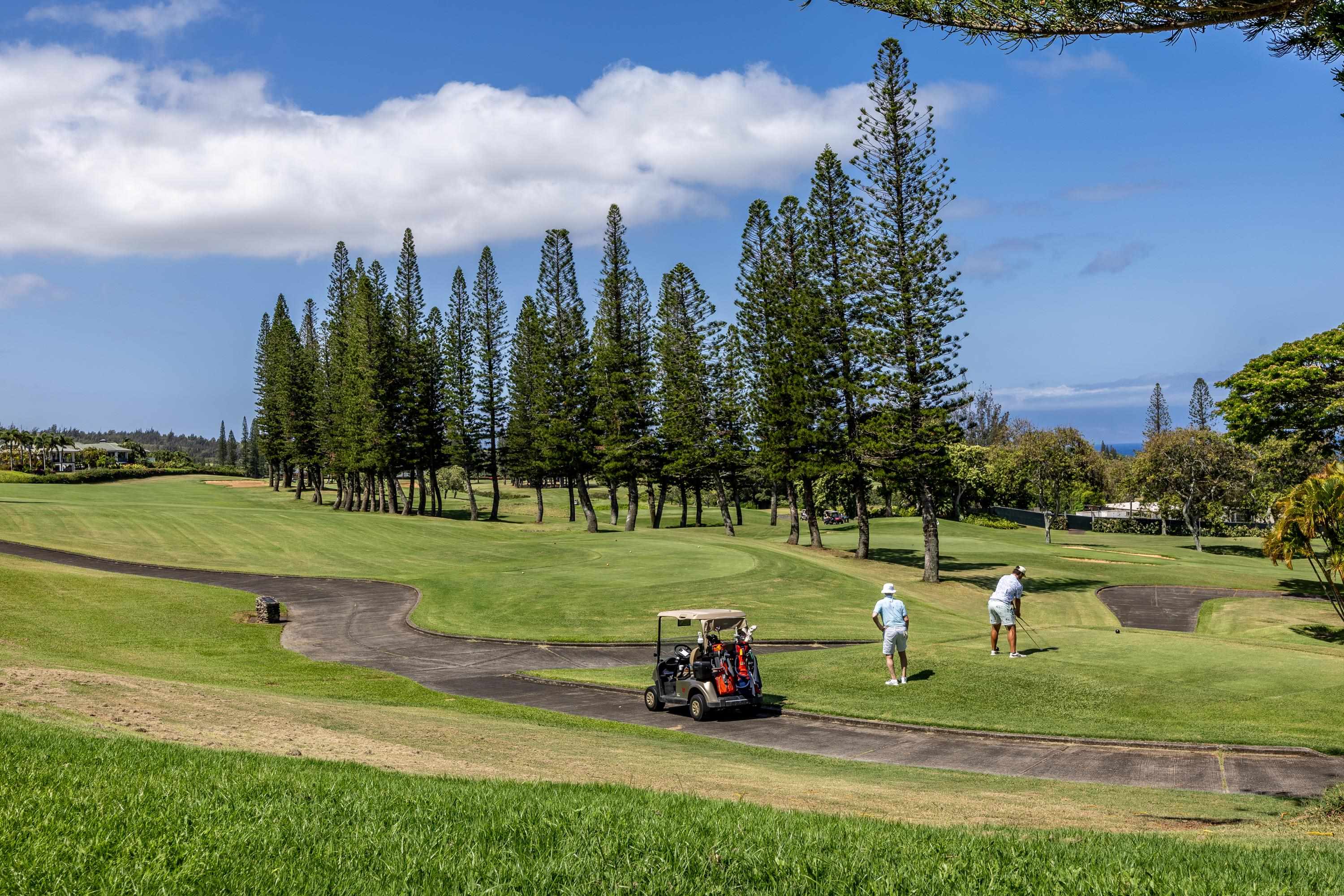 Kapalua Golf Villas condo # 23T4-5, Lahaina, Hawaii - photo 45 of 47