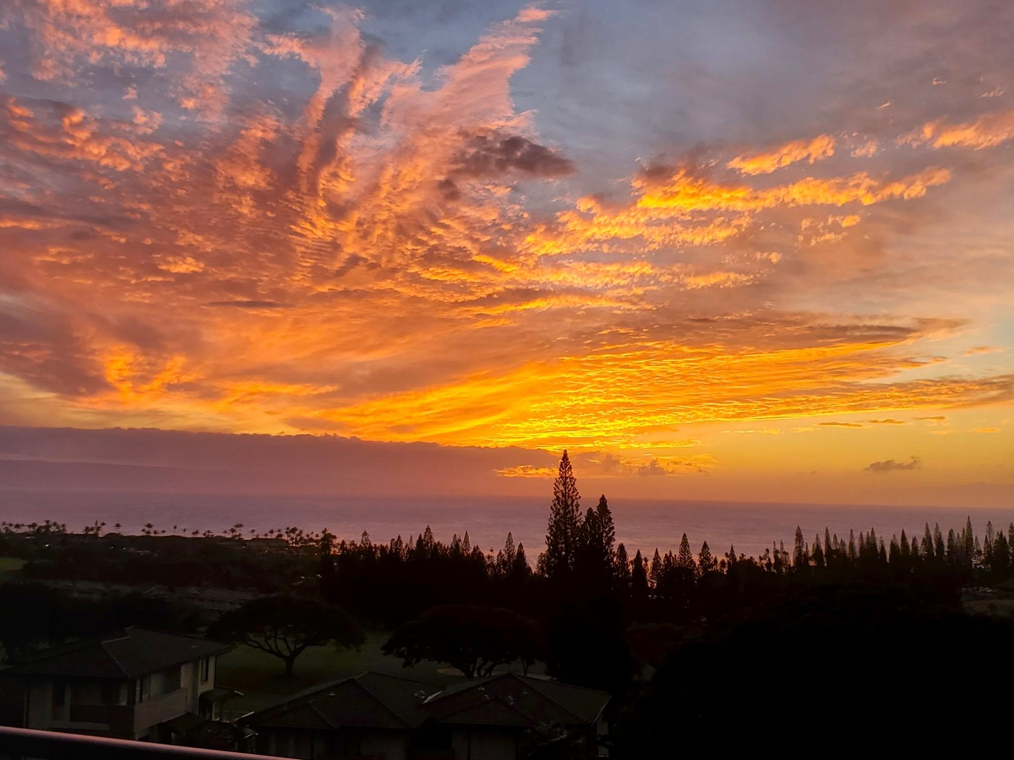 Kapalua Golf Villas condo # 23V1, Lahaina, Hawaii - photo 41 of 50