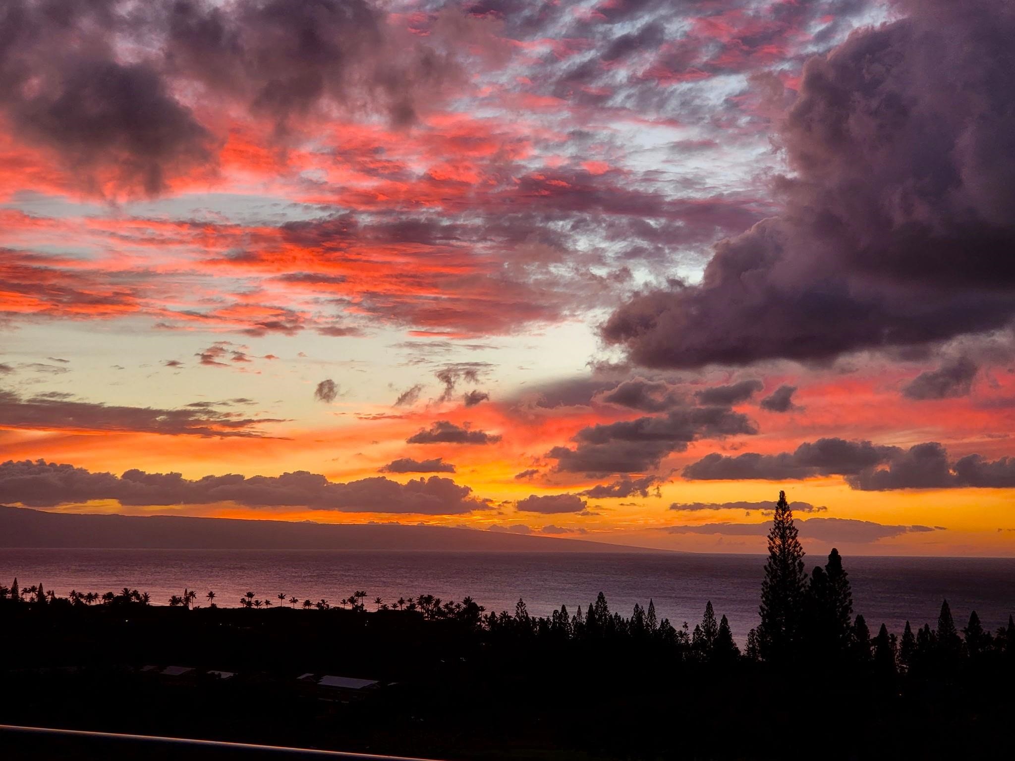 Kapalua Golf Villas condo # 23V1, Lahaina, Hawaii - photo 42 of 50