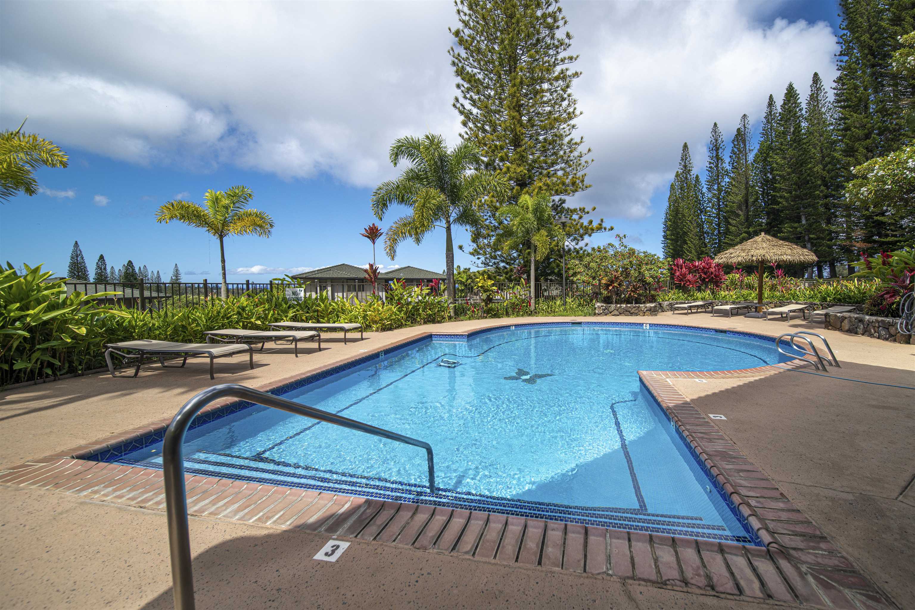 Kapalua Golf Villas condo # 23V1, Lahaina, Hawaii - photo 46 of 50