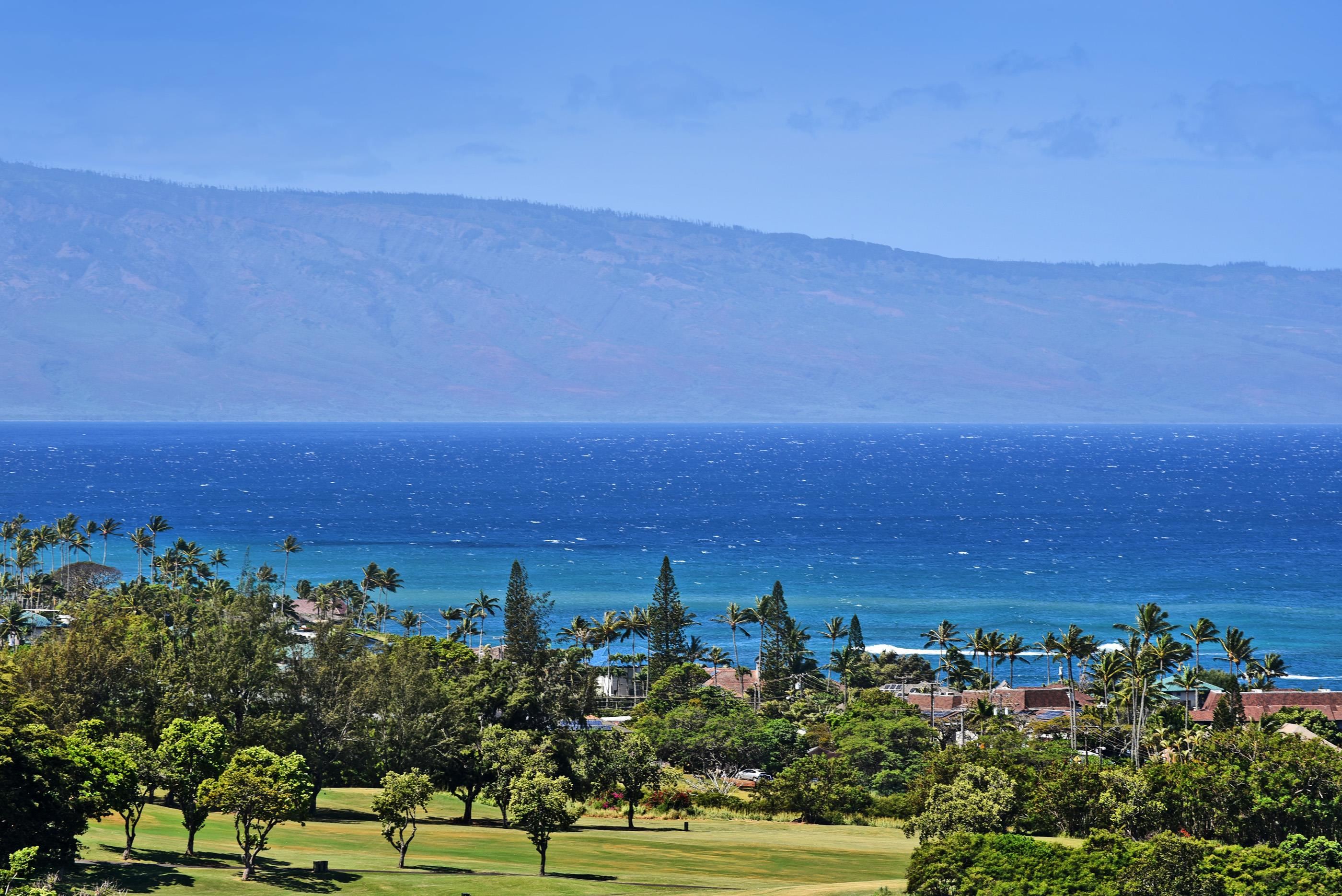 Kapalua Golf Villas condo # 23V2, Lahaina, Hawaii - photo 12 of 25