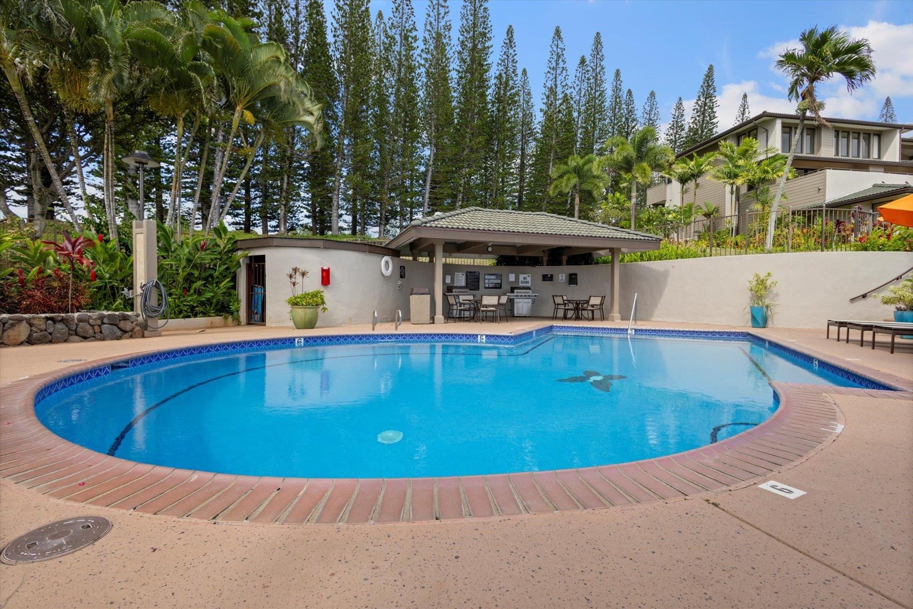 Kapalua Golf Villas condo # 23V2, Lahaina, Hawaii - photo 29 of 33