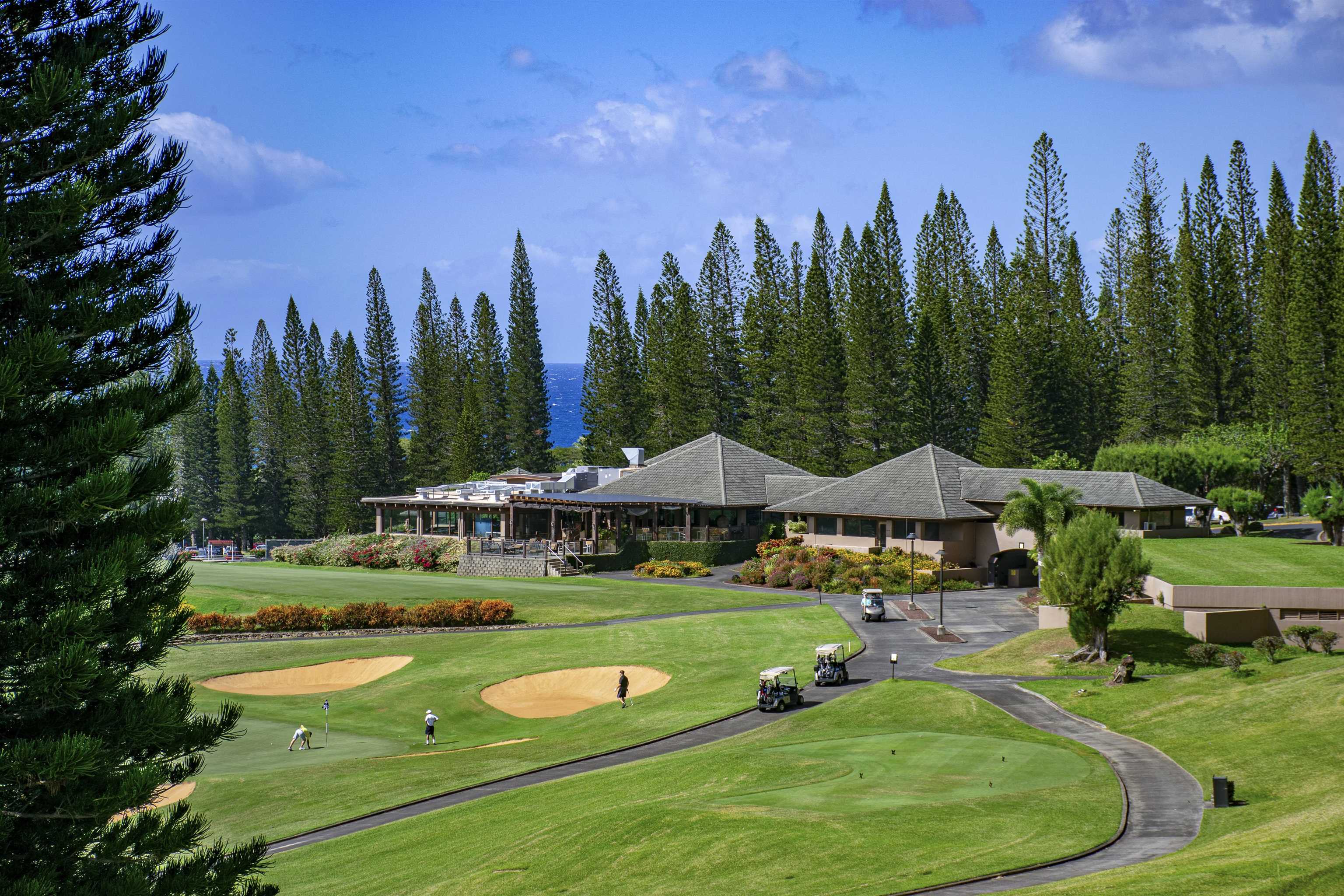 Kapalua Golf Villas condo # 24P 7-8, Lahaina, Hawaii - photo 12 of 45