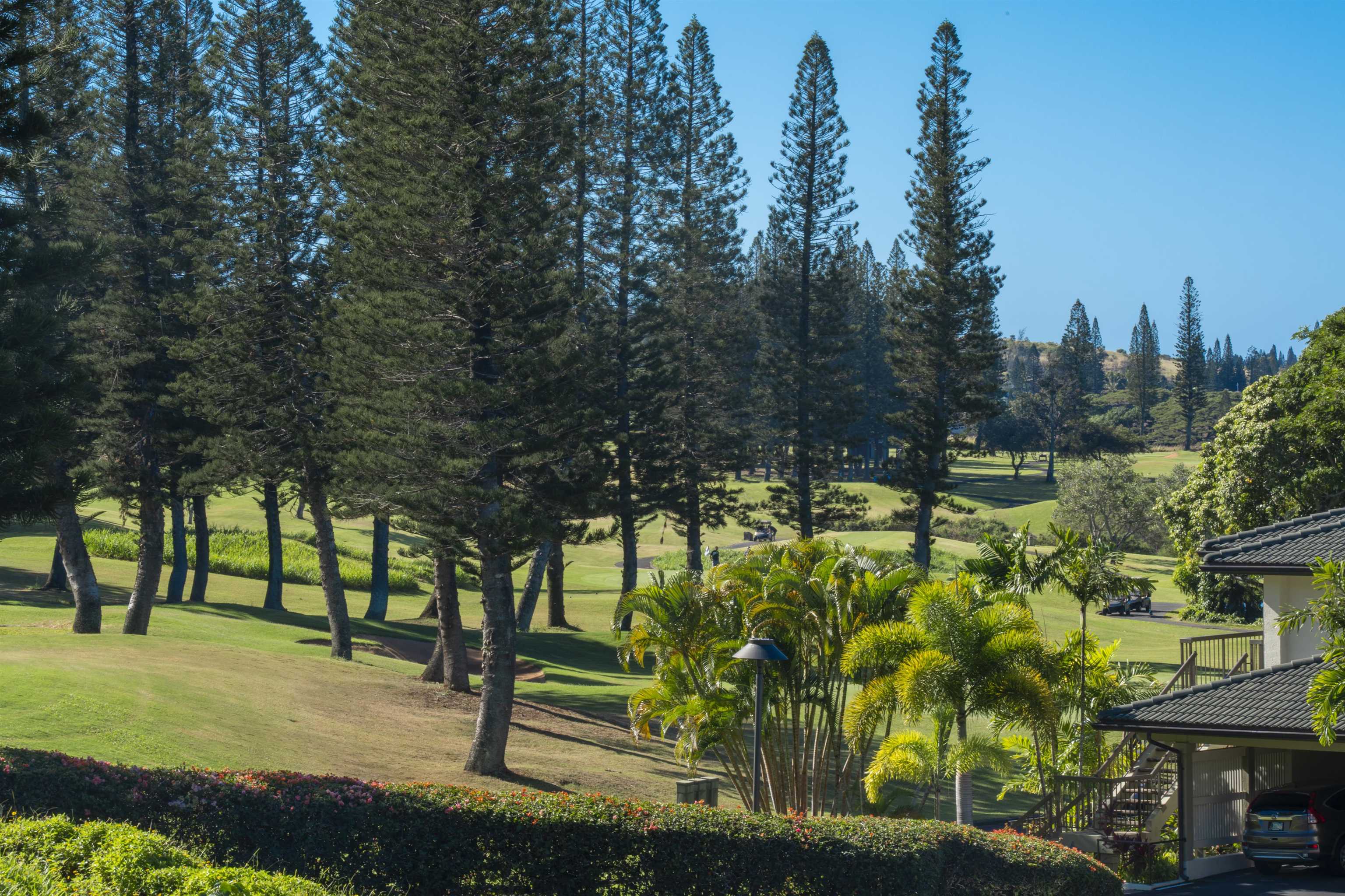 Kapalua Golf Villas condo # 24P 7-8, Lahaina, Hawaii - photo 20 of 45